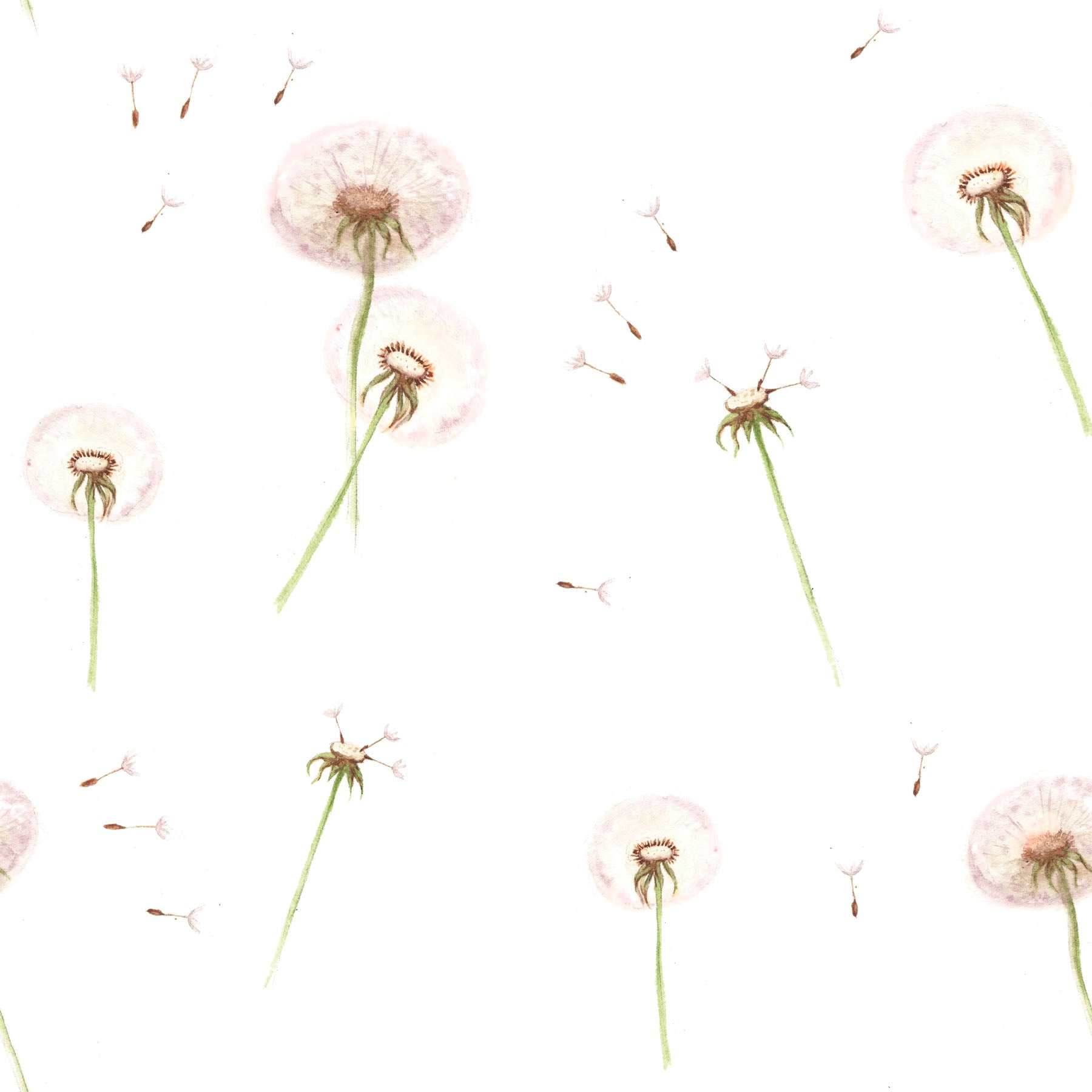 Dekornik Pastel Pink Dandelions Wallpaper for Kids