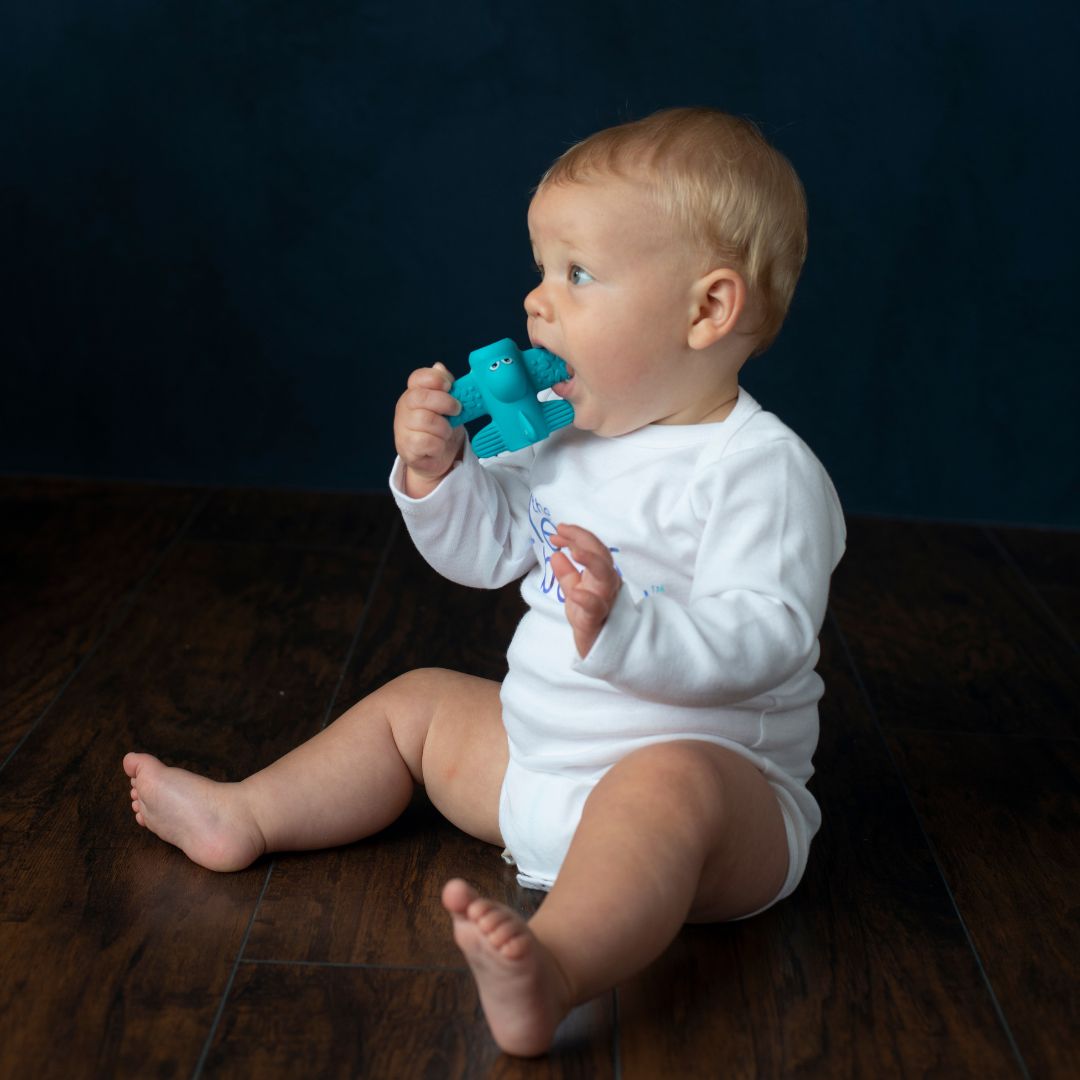 Jet by The Clever Baby - All-in-One Teether & Dispenser