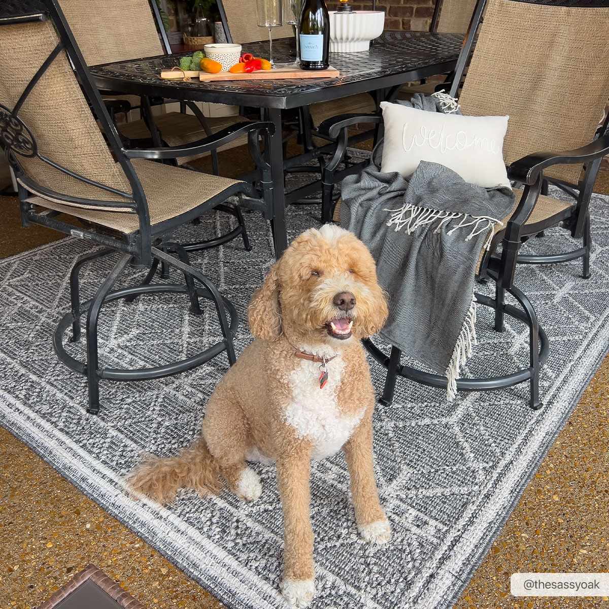 Elegant Hauteloom Diah Black & Bone Area Rug