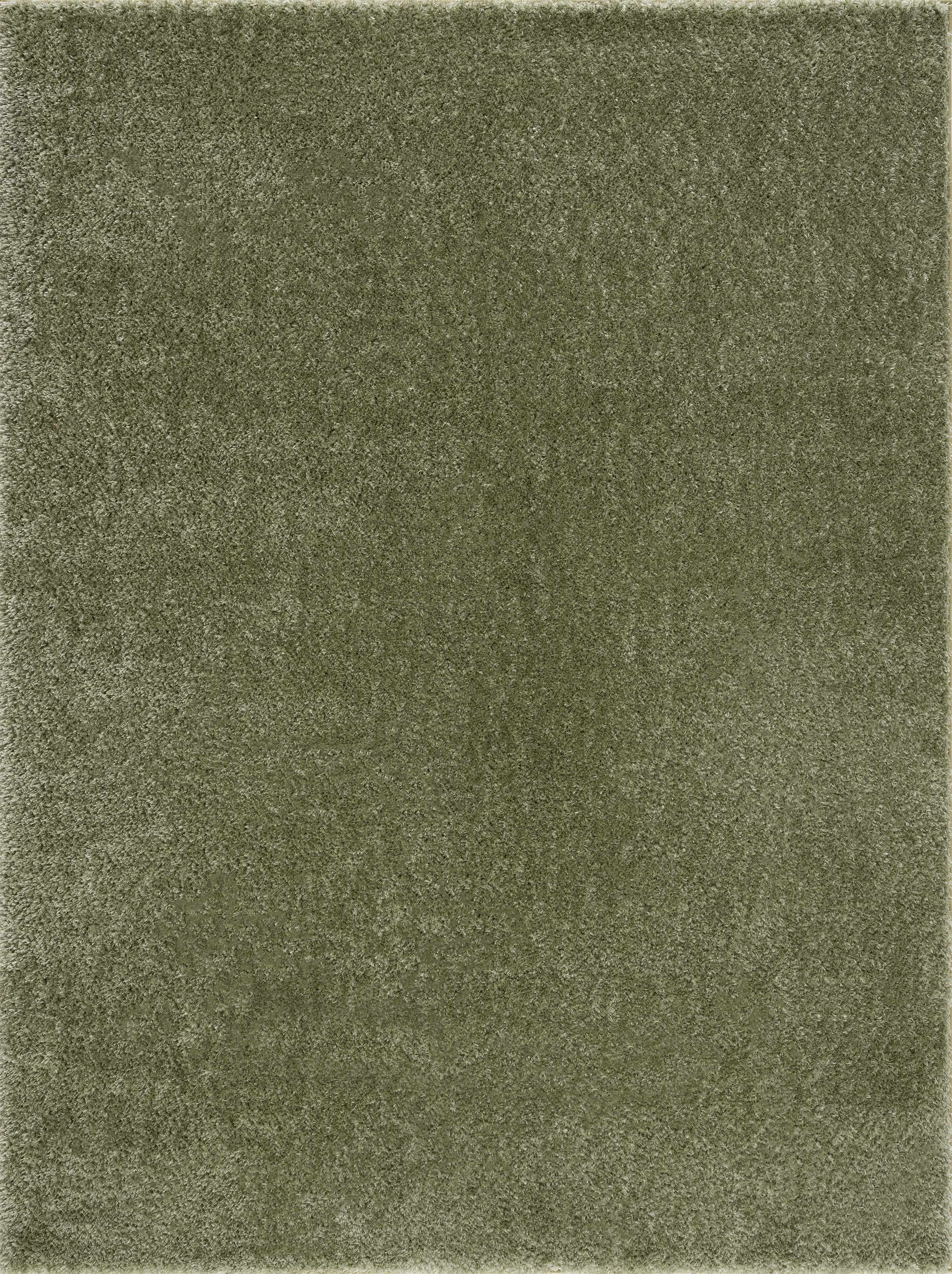 Indulge in Luxury with Hauteloom Heavenly Solid Green Plush Rug