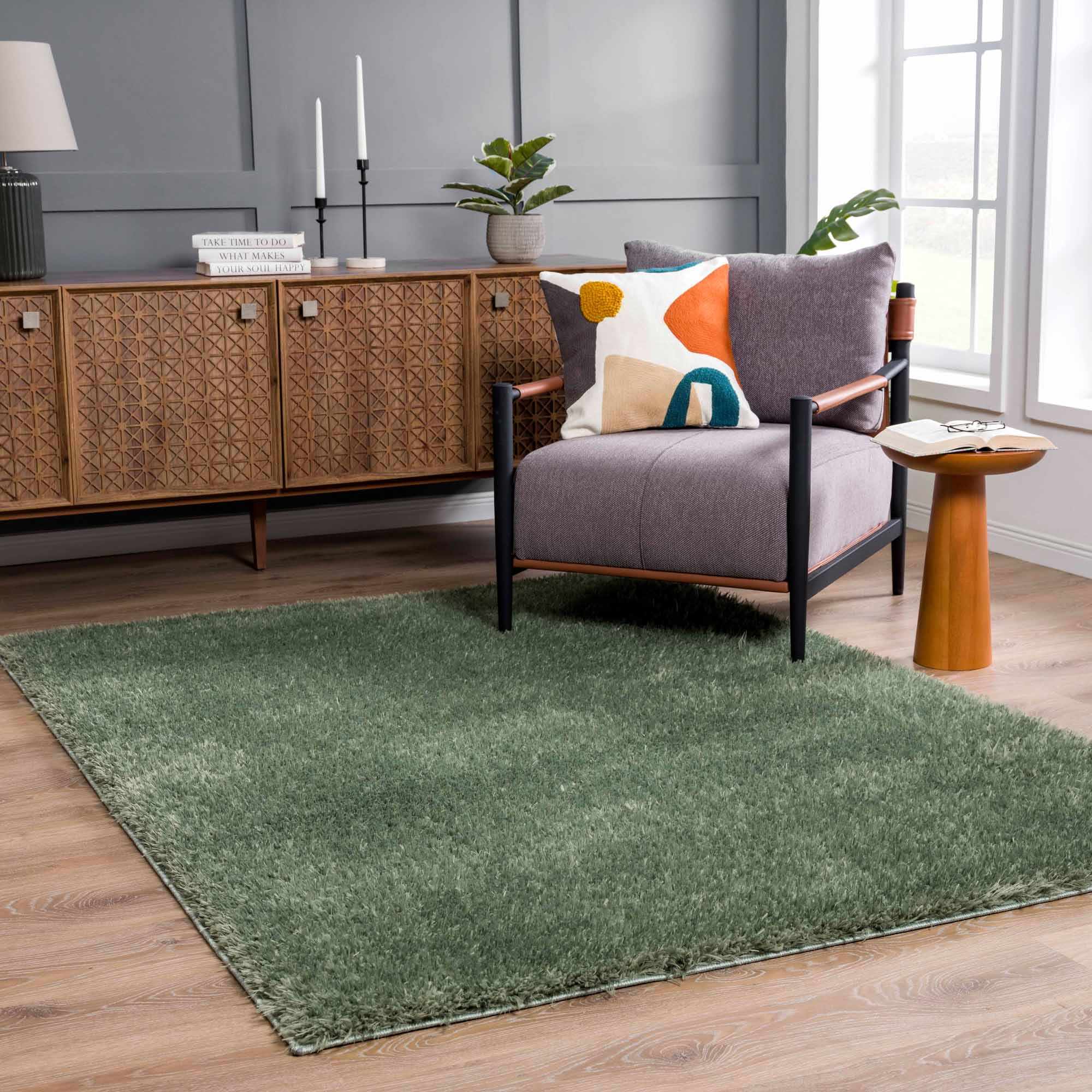 Hauteloom Faina Solid Green Ultra-Soft Washable Shag Rug