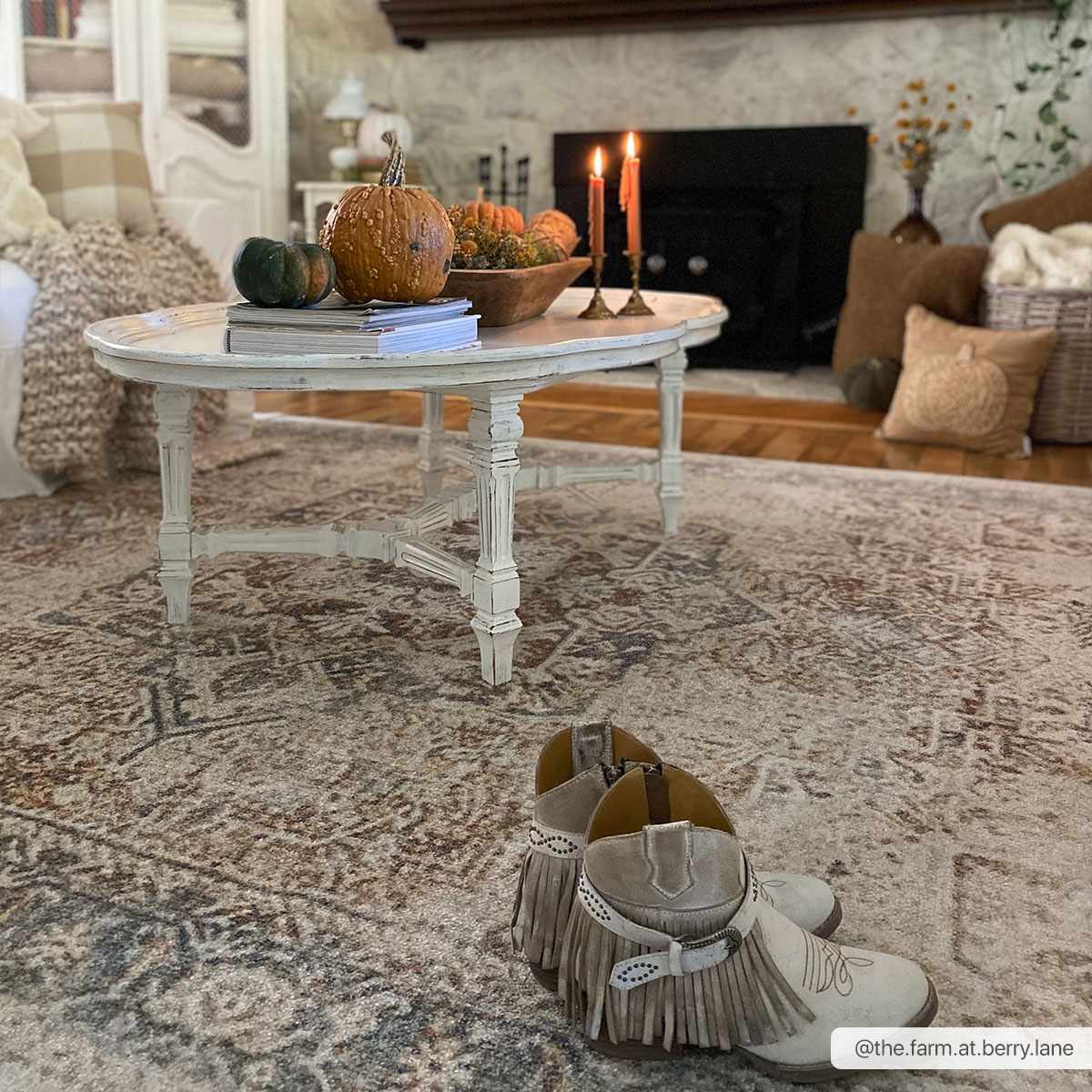 Hauteloom Fang Luxury Washable Area Rug