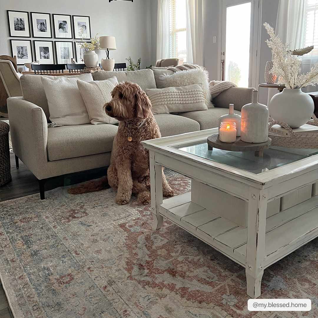 Luxurious Hauteloom Emke Washable Area Rug - Transform Your Space