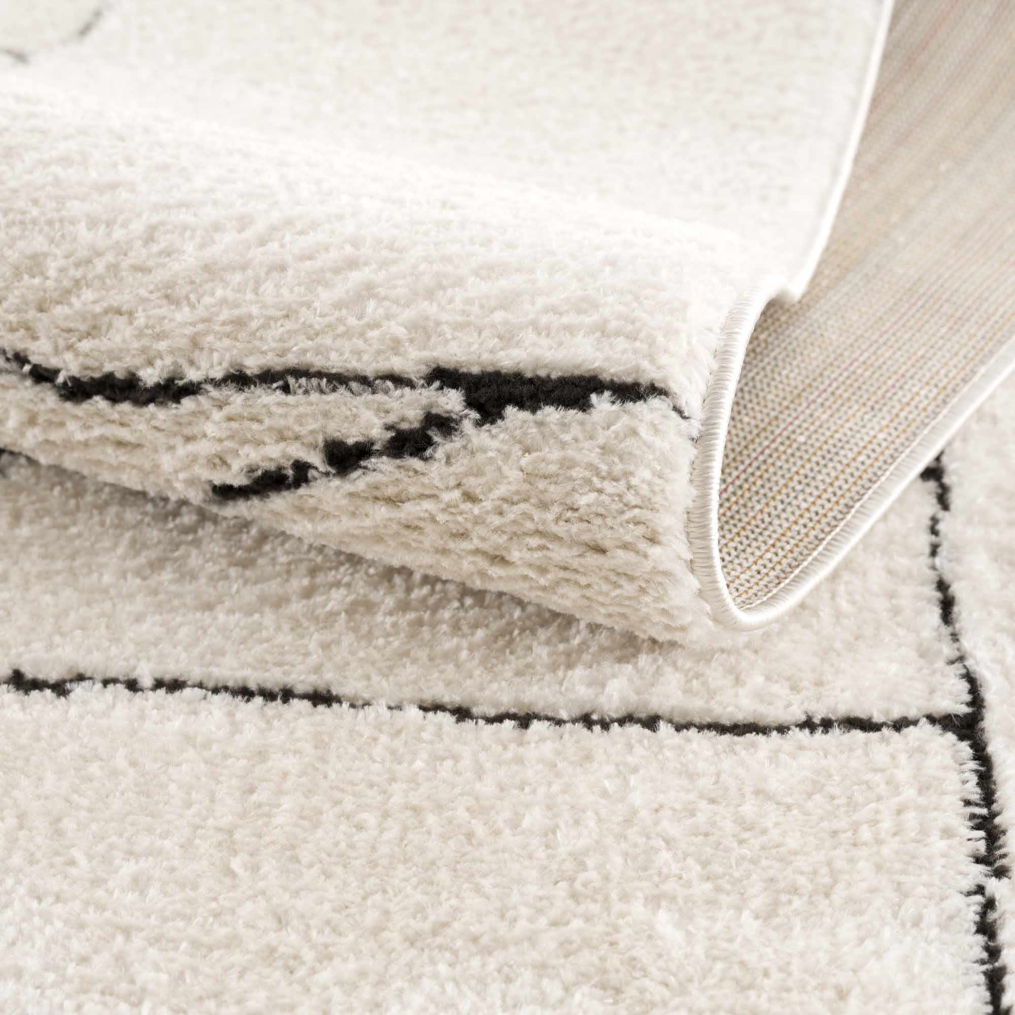 Elegant Hauteloom Keats Black & White Area Rug