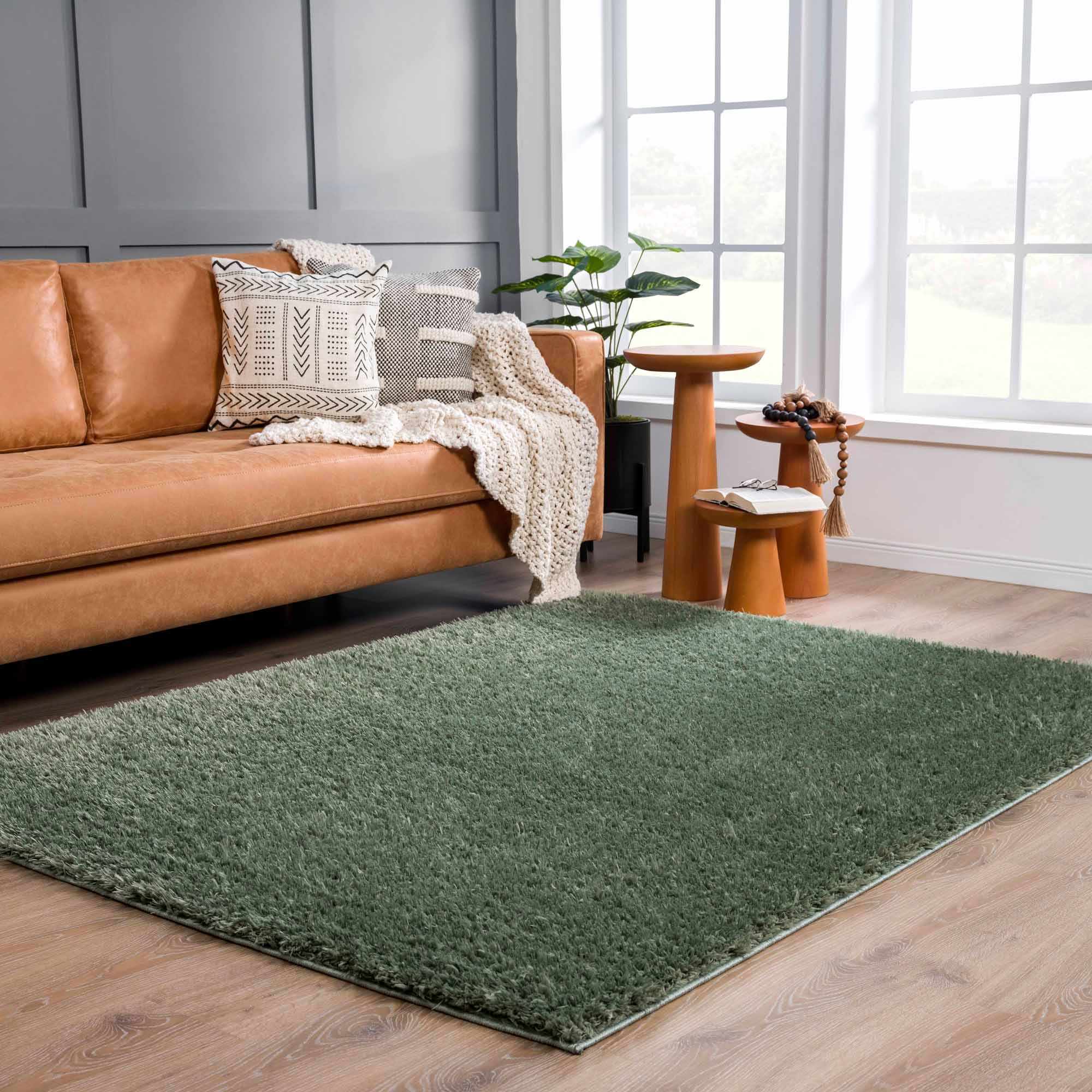 Hauteloom Faina Solid Green Ultra-Soft Washable Shag Rug