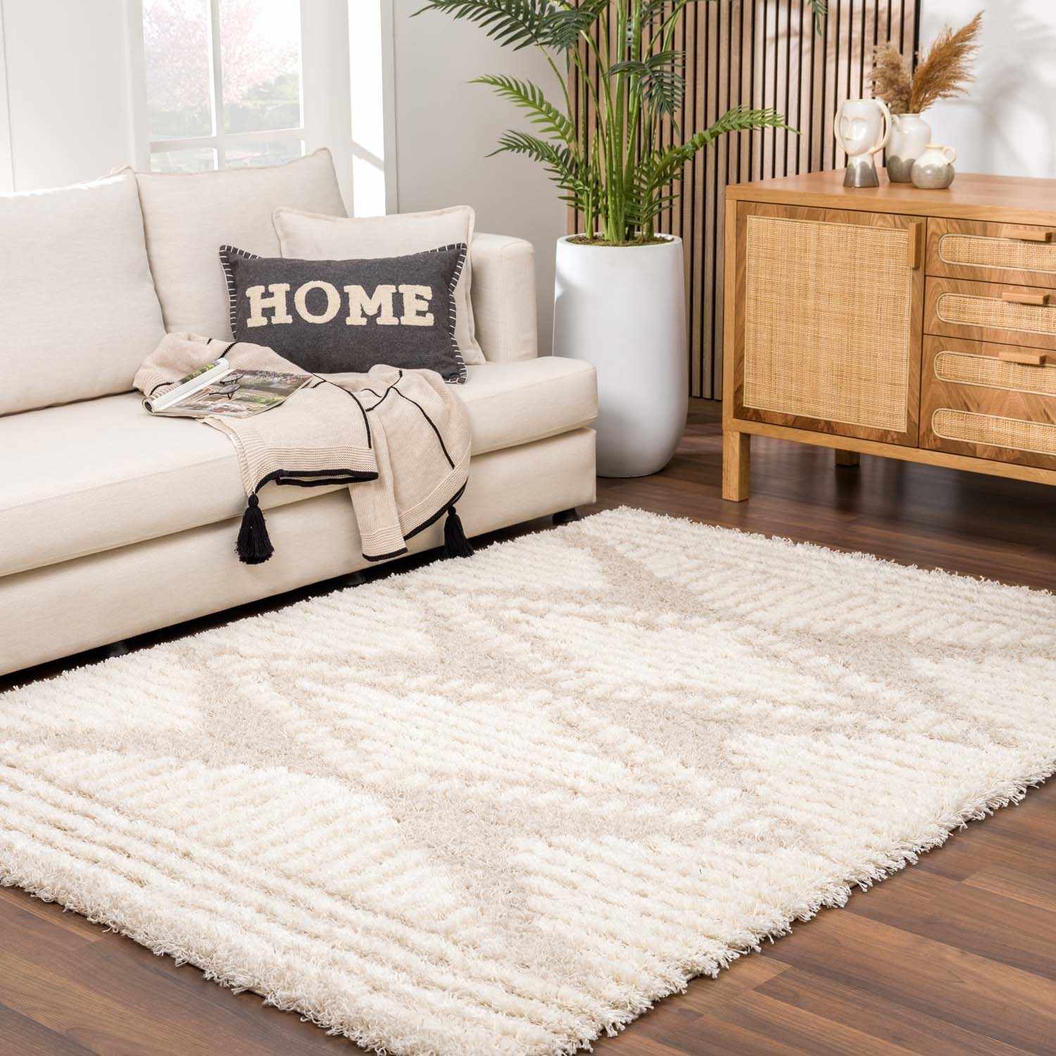 Indulge in Luxury with Hauteloom Igor Shag Area Rug