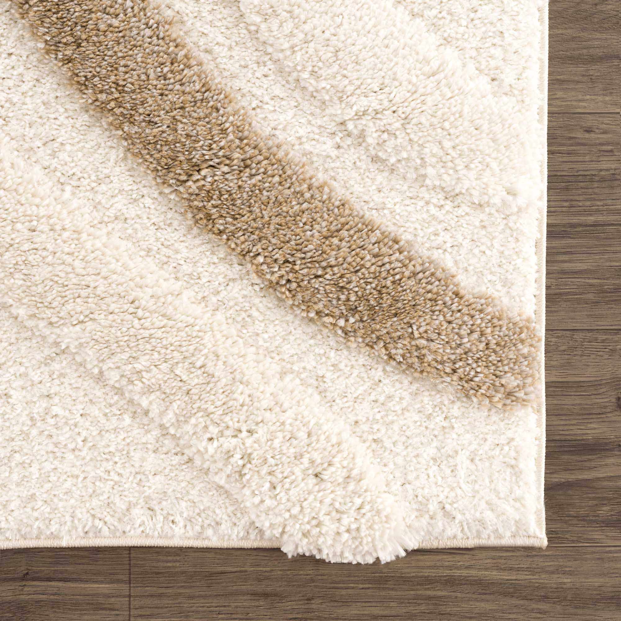 Luxurious Hauteloom Espiye Embossed Plush Rug