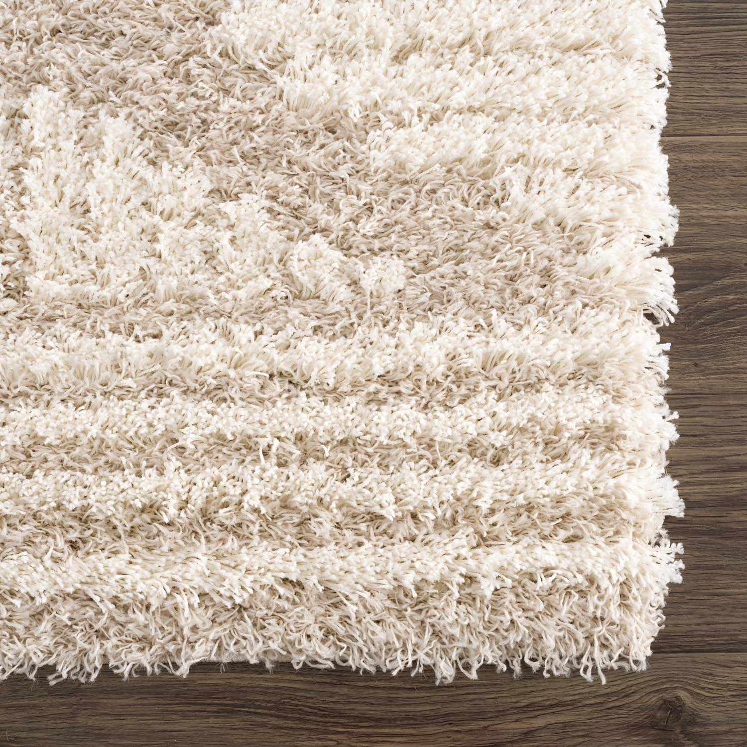 Indulge in Luxury with Hauteloom Igor Shag Area Rug