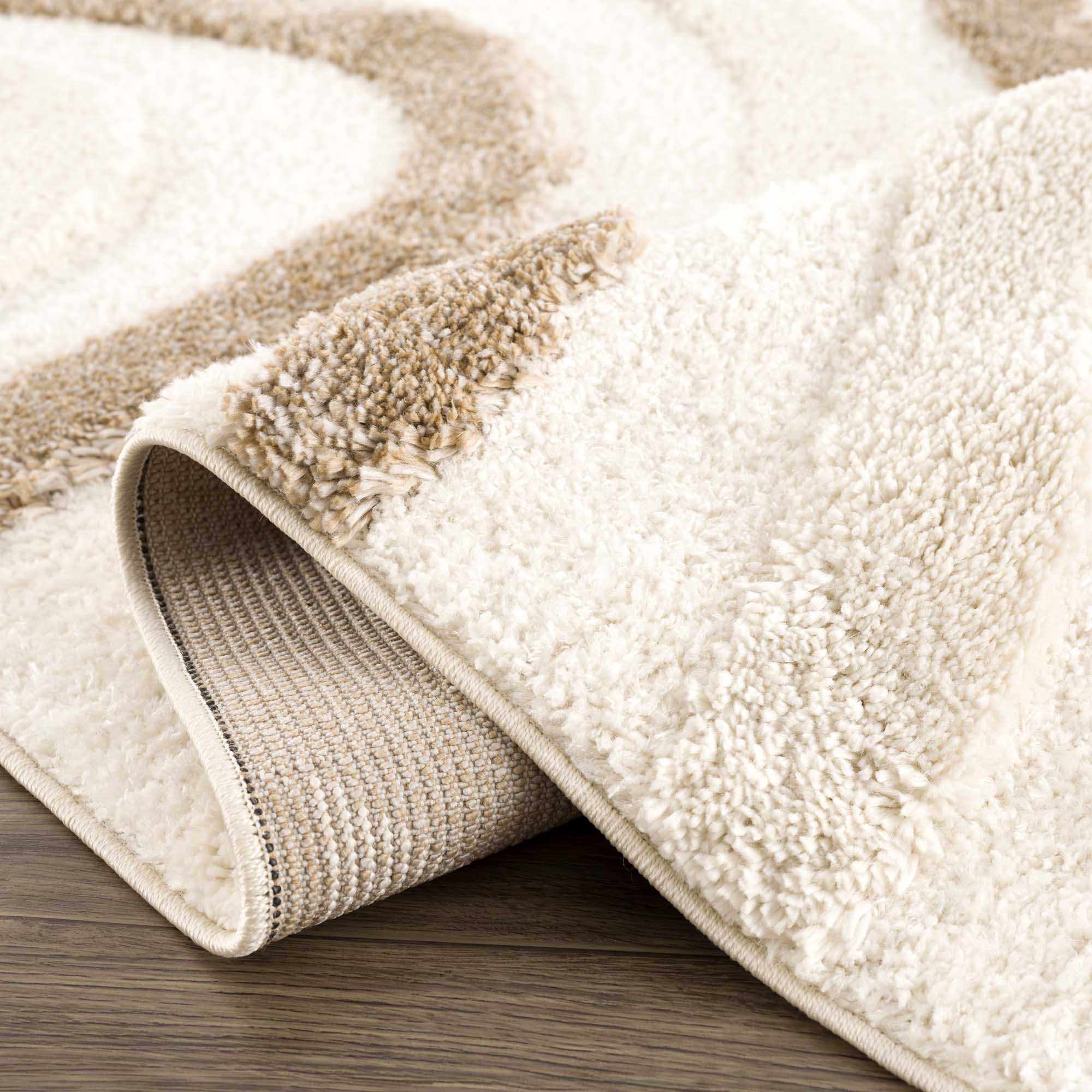 Luxurious Hauteloom Espiye Embossed Plush Rug
