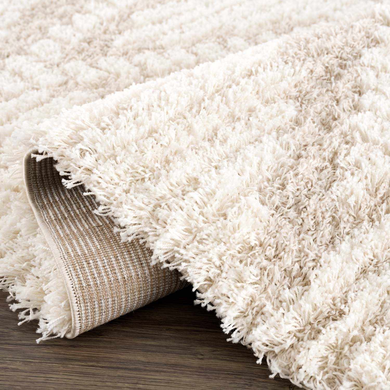 Indulge in Luxury with Hauteloom Igor Shag Area Rug