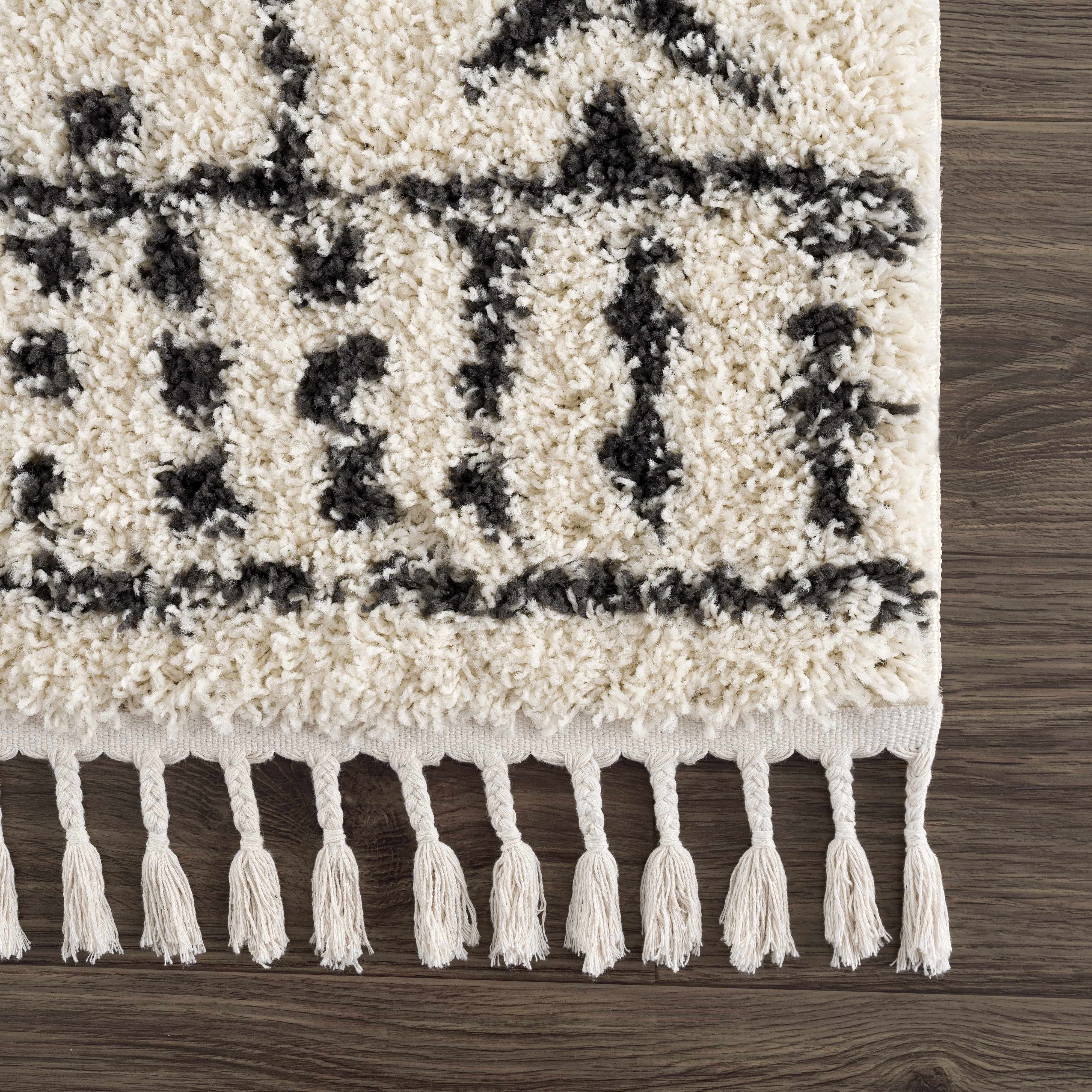 Hauteloom Hauppauge Bohemian Berber Shag Plush Carpet - Inviting Luxury!