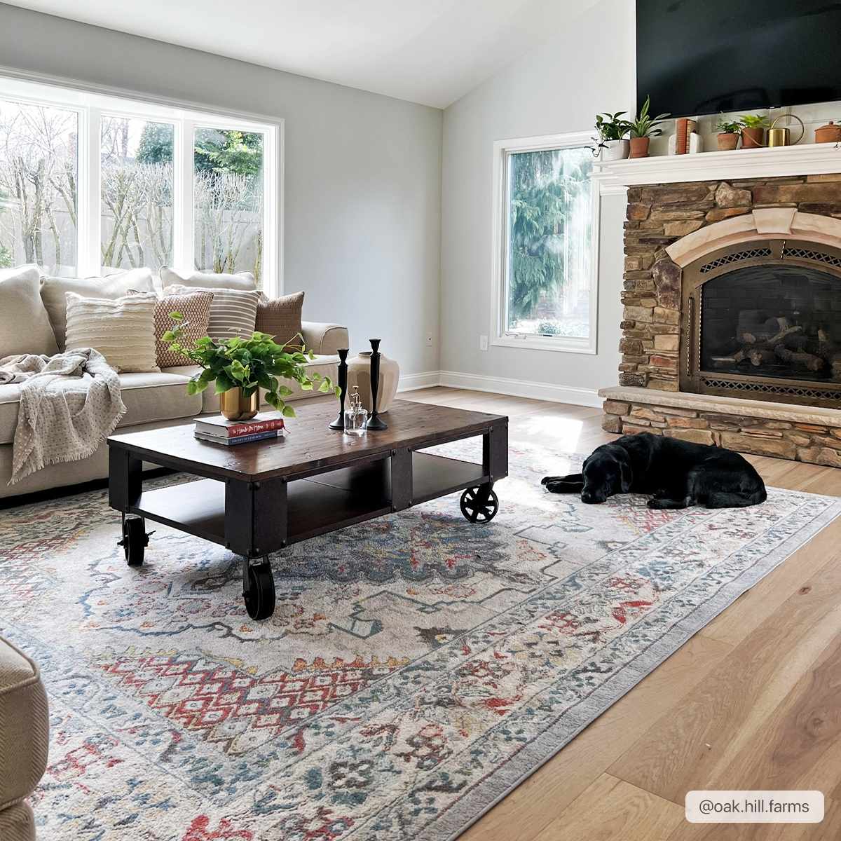 Gorgeous Hauteloom Haymond Area Rug