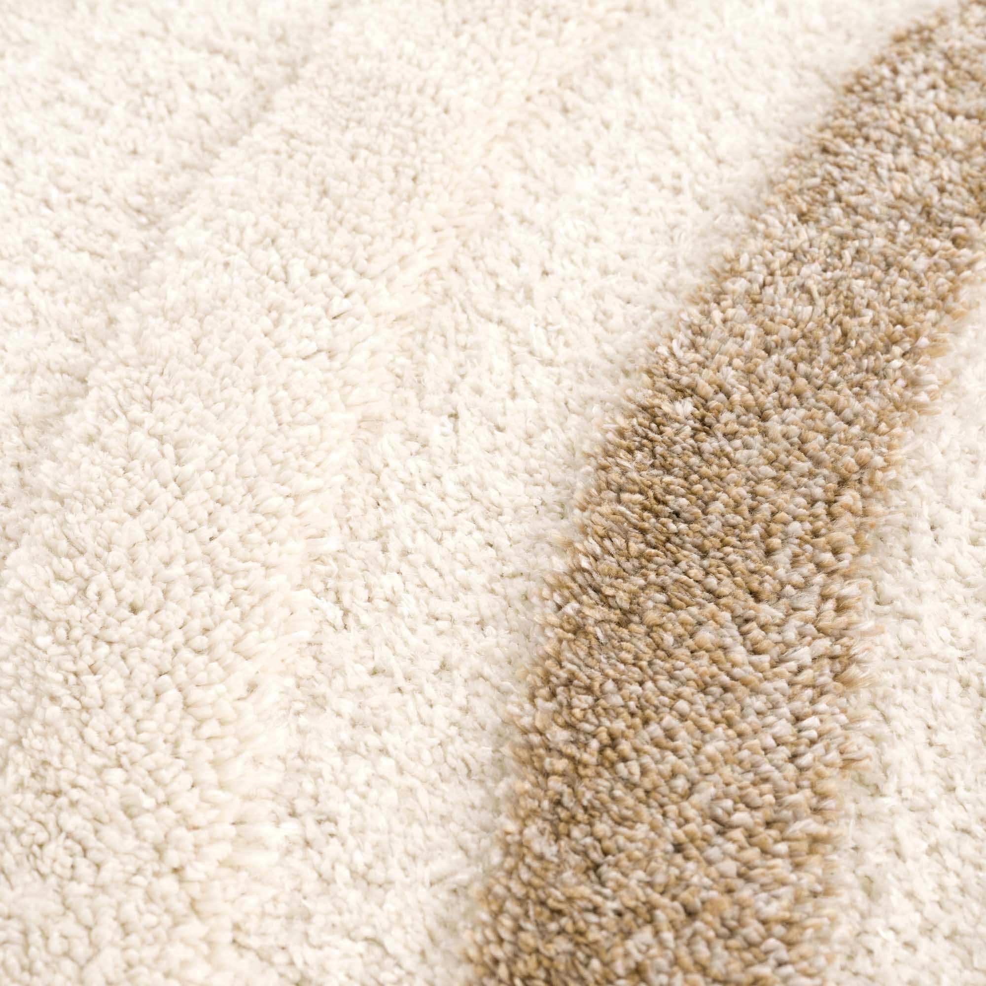 Luxurious Hauteloom Espiye Embossed Plush Rug