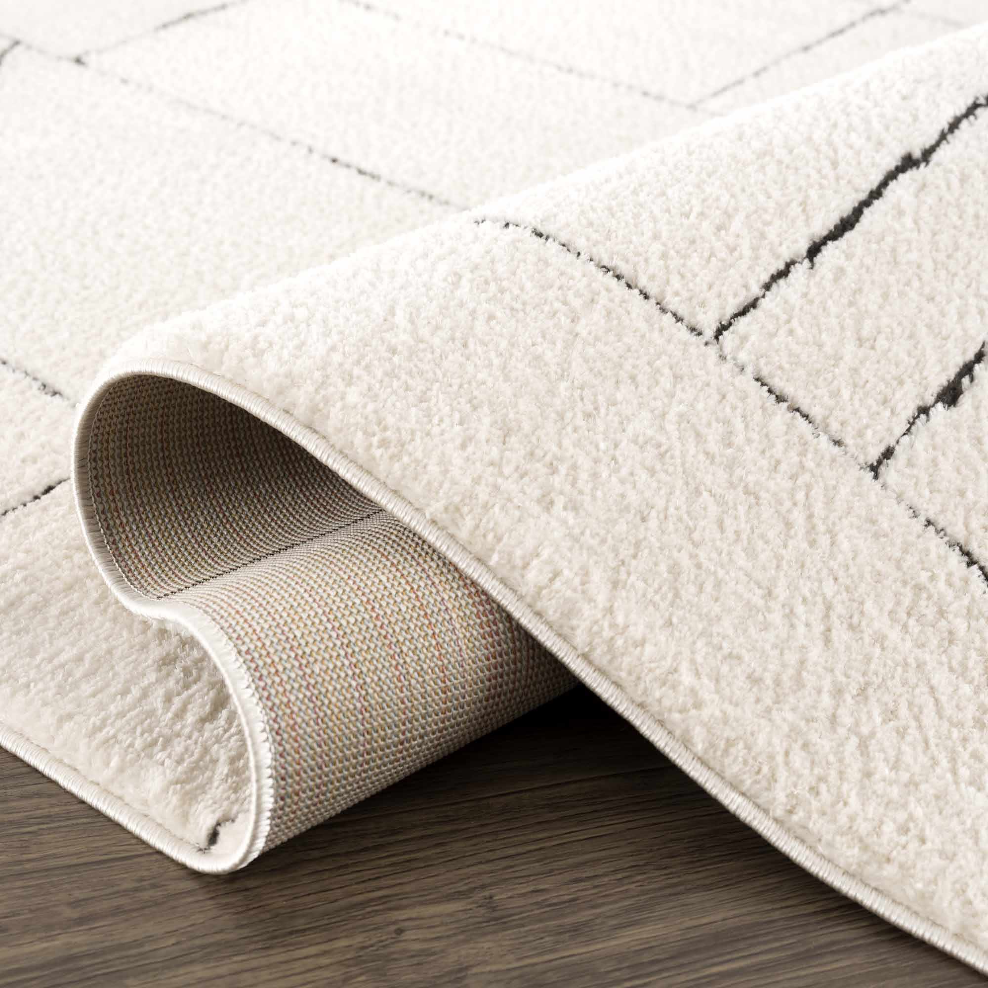 Elegant Hauteloom Keats Black & White Area Rug