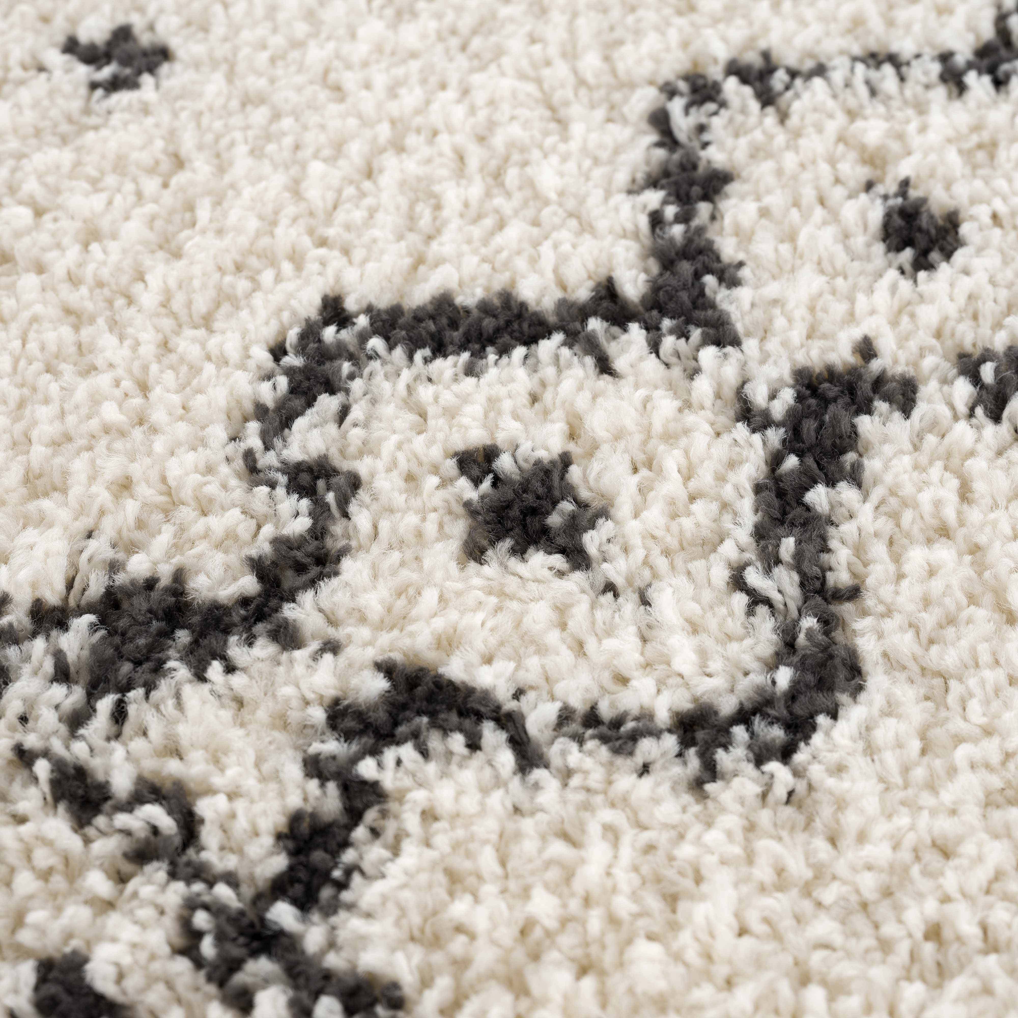 Hauteloom Hauppauge Bohemian Berber Shag Plush Carpet - Inviting Luxury!