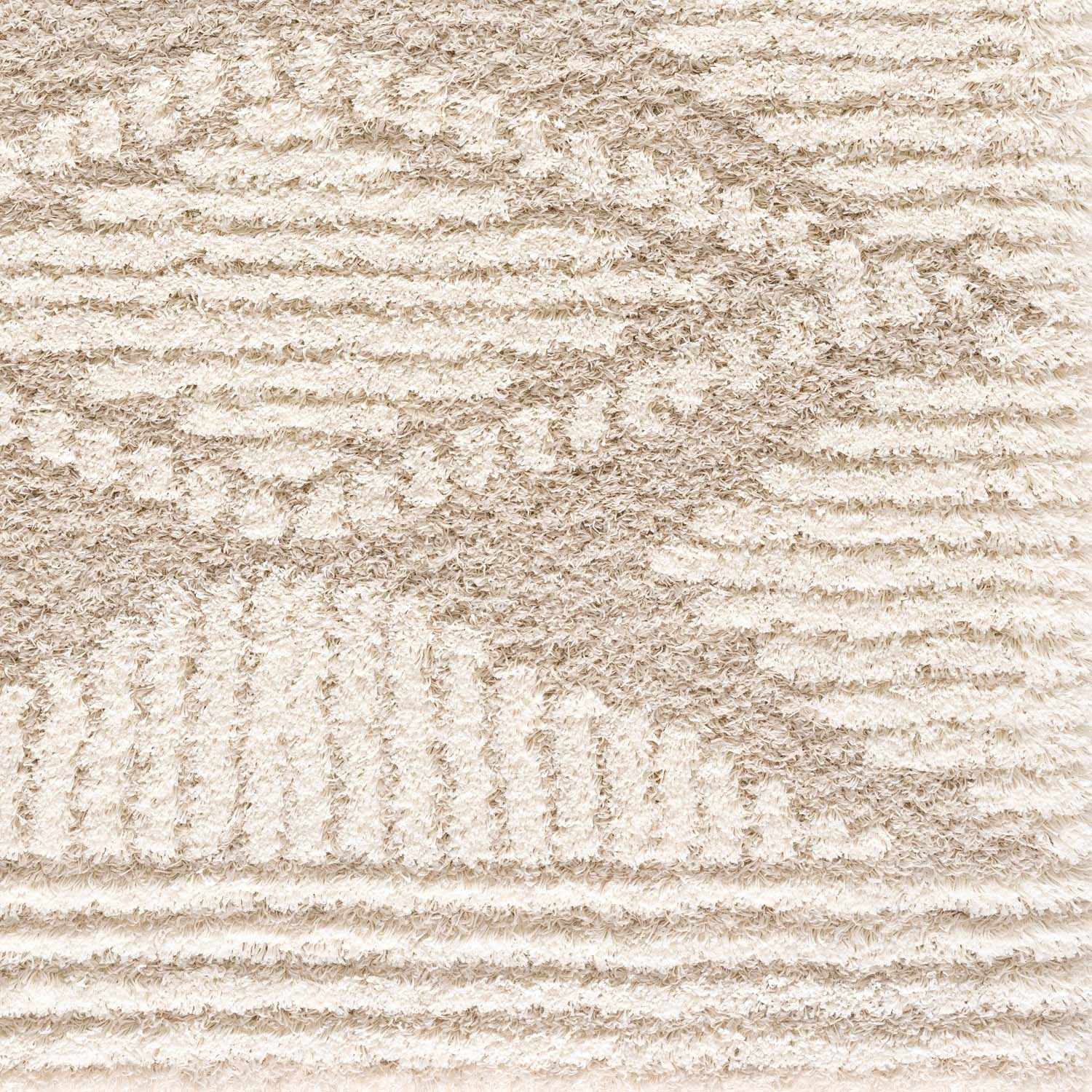 Indulge in Luxury with Hauteloom Igor Shag Area Rug