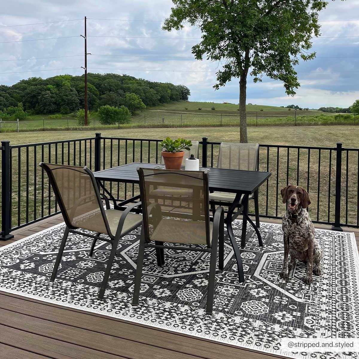Exquisite Hauteloom Kingscliff Area Rug - Transform Your Space