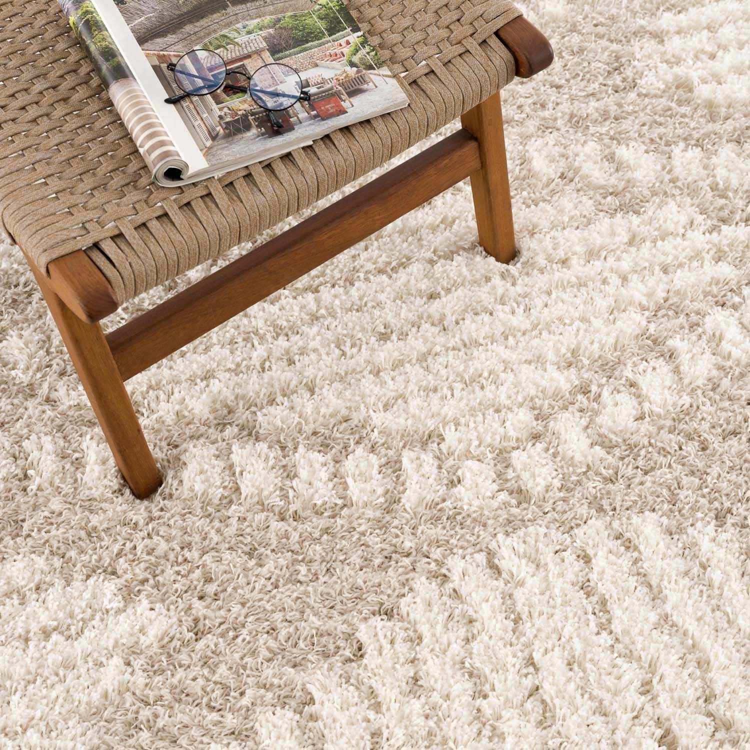 Indulge in Luxury with Hauteloom Igor Shag Area Rug