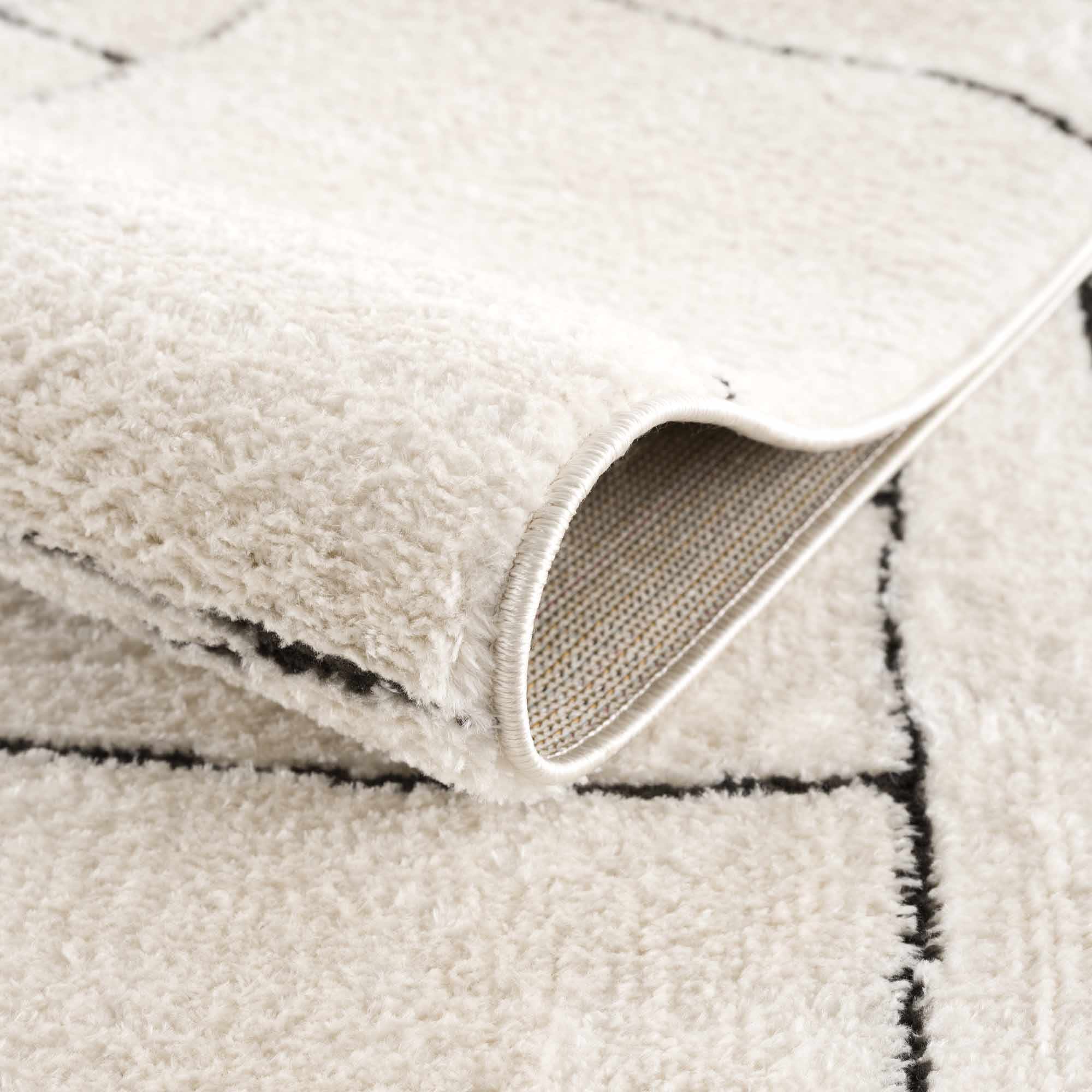Elegant Hauteloom Keats Black & White Area Rug