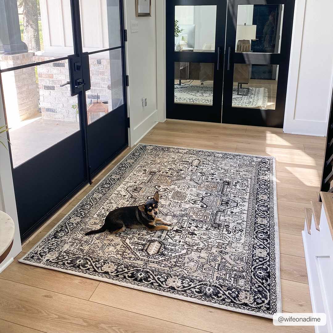 Breathtaking Hauteloom Cabacungan Washable Area Rug