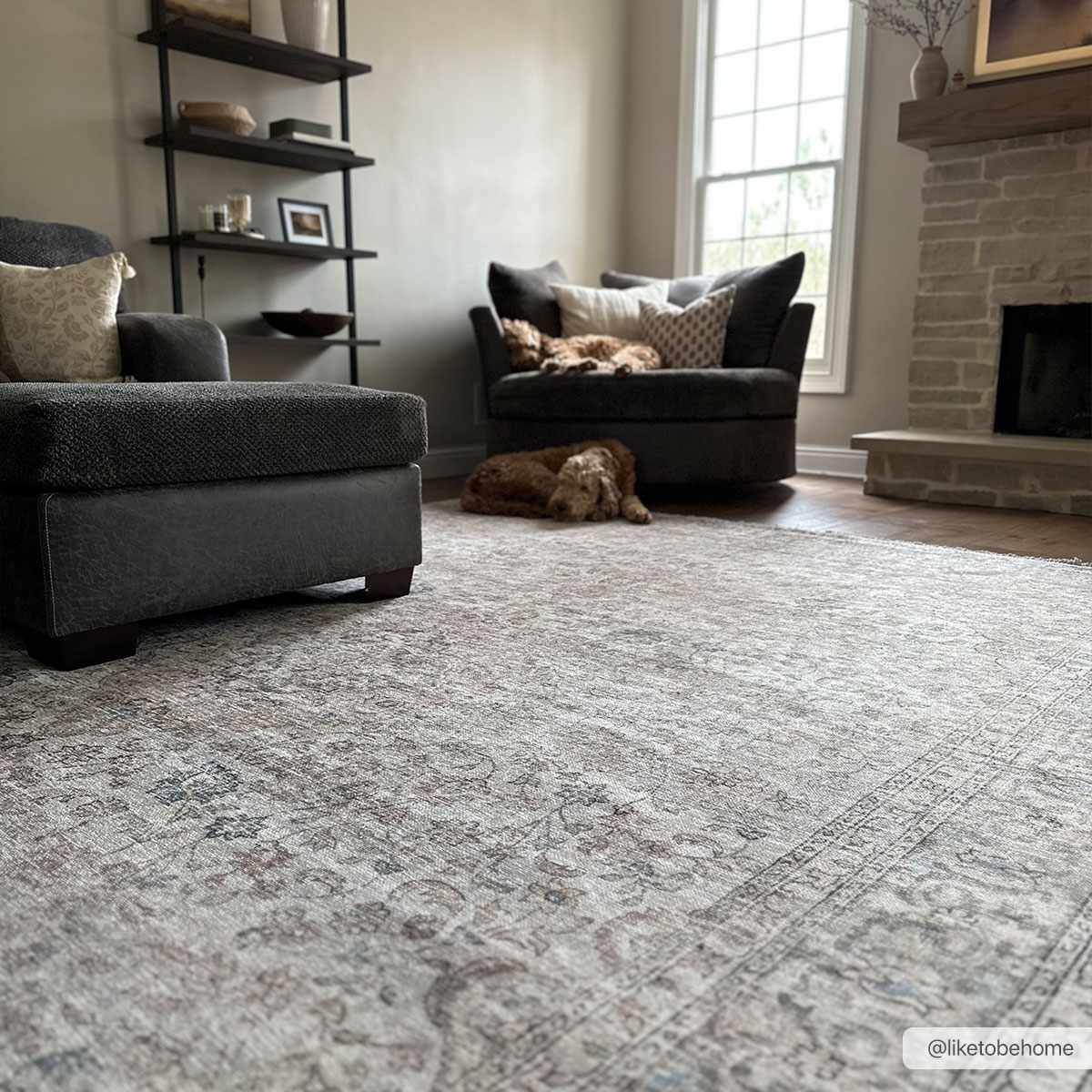 Hauteloom Cream Holi-2301 Washable Area Rug - The Perfect Choice for Your Home
