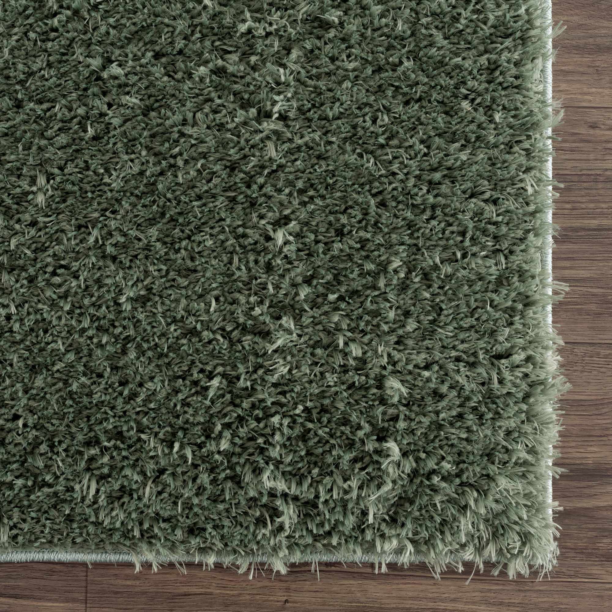 Hauteloom Faina Solid Green Ultra-Soft Washable Shag Rug