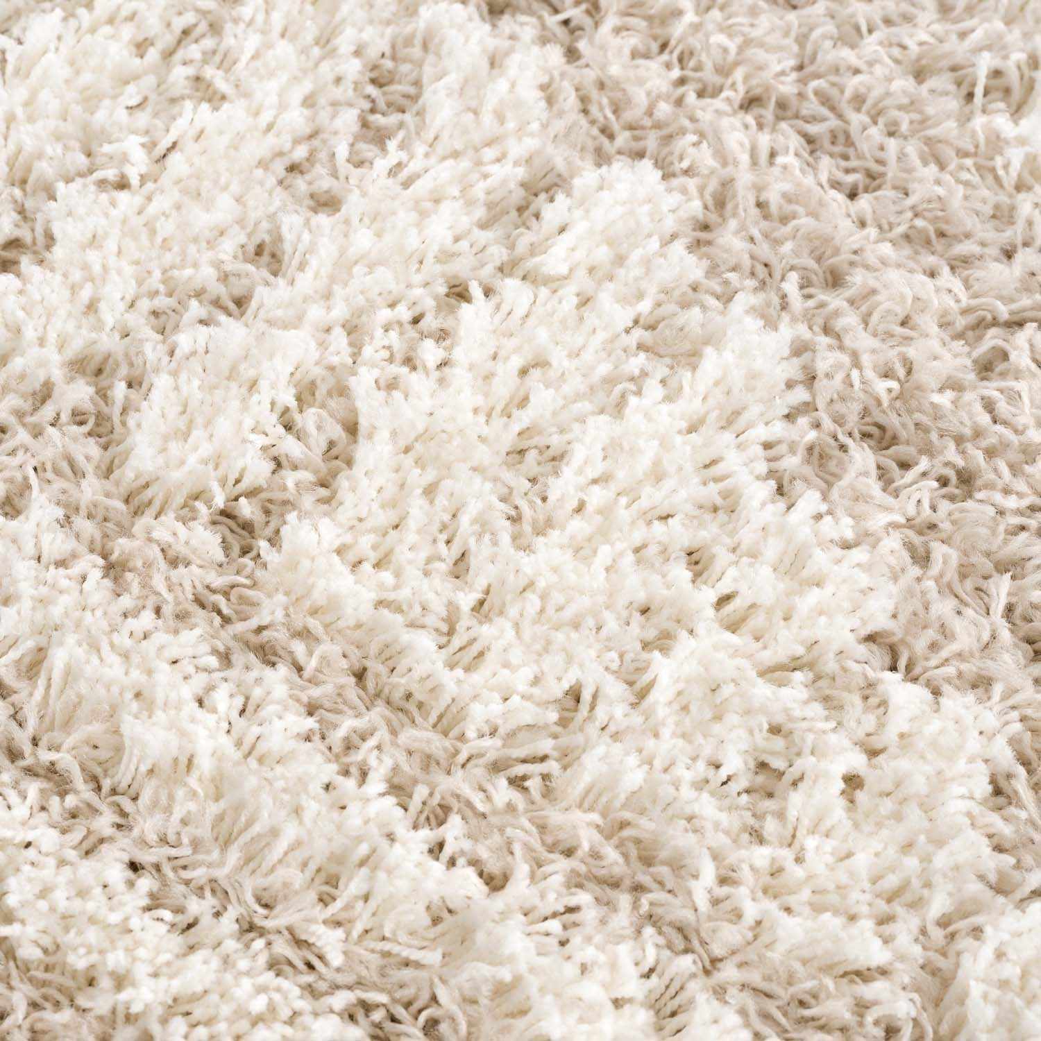 Indulge in Luxury with Hauteloom Igor Shag Area Rug