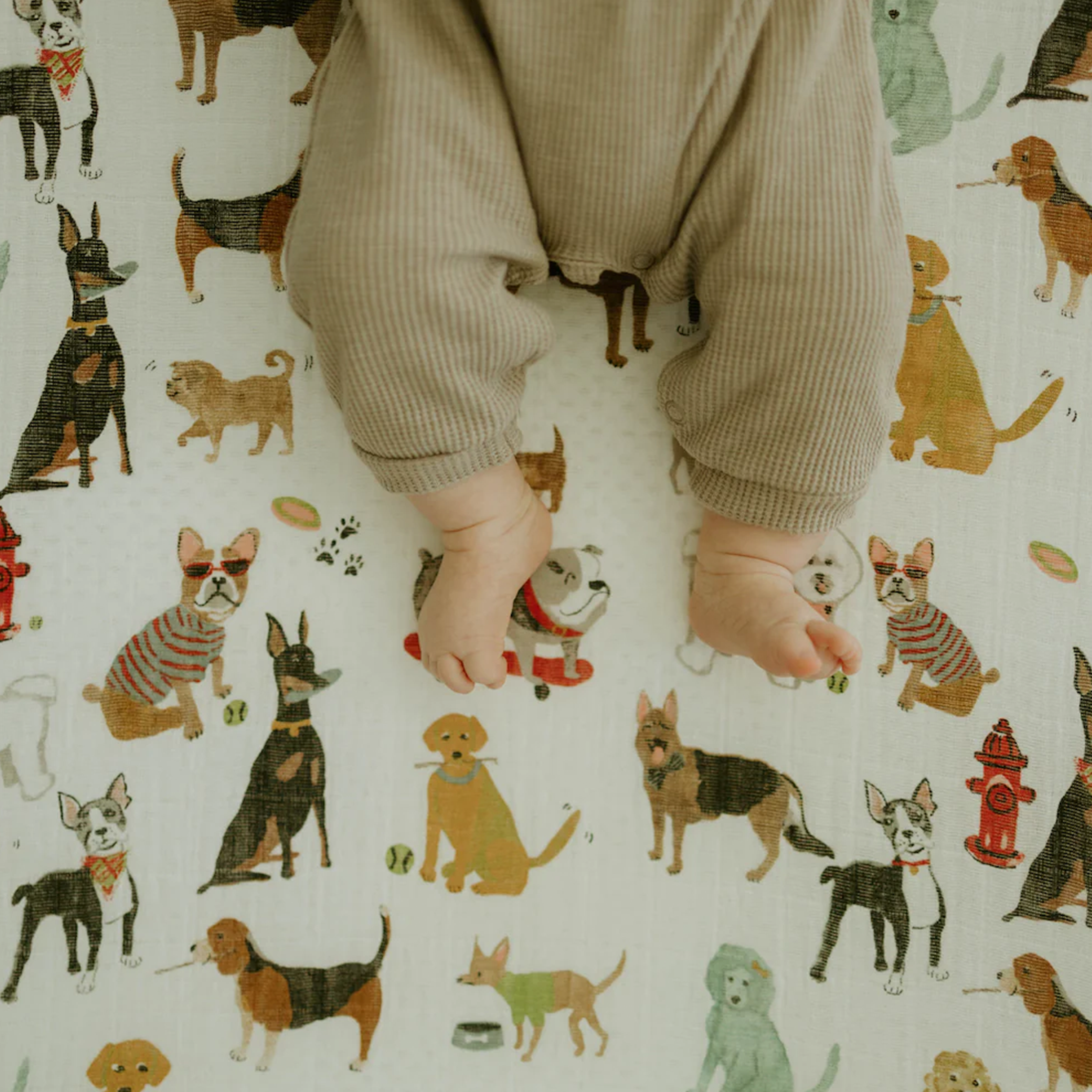 Little Unicorn Woof Cotton Muslin Crib Sheet - Adorable & Cozy!