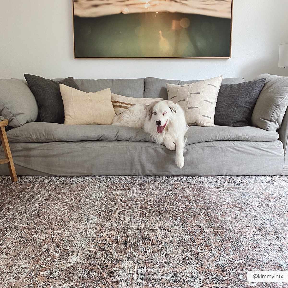 Hauteloom Jill Vintage Washable Area Rug - Your Cozy Home Essential
