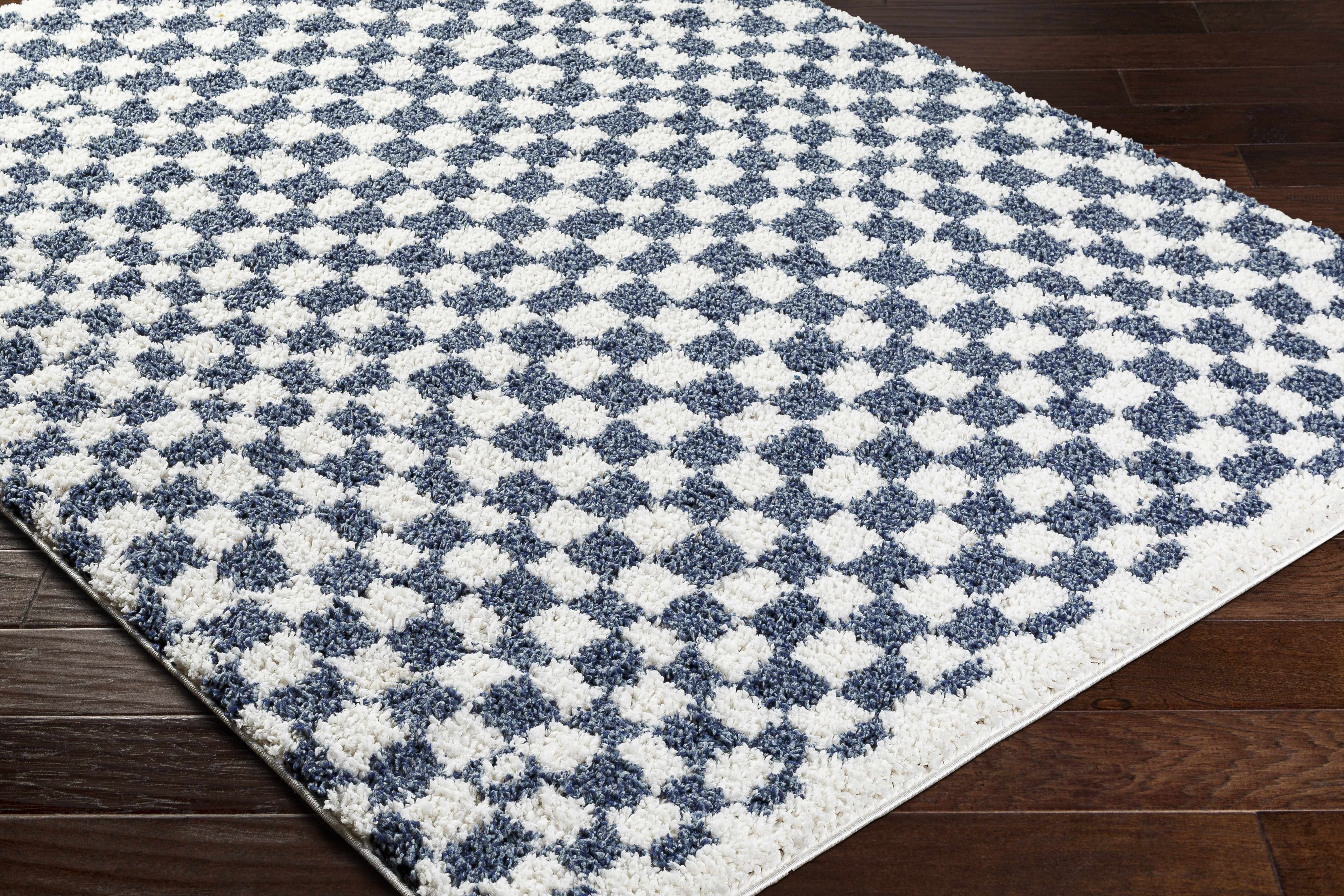 Exquisite Kieu Blue & White Checkered Area Rug