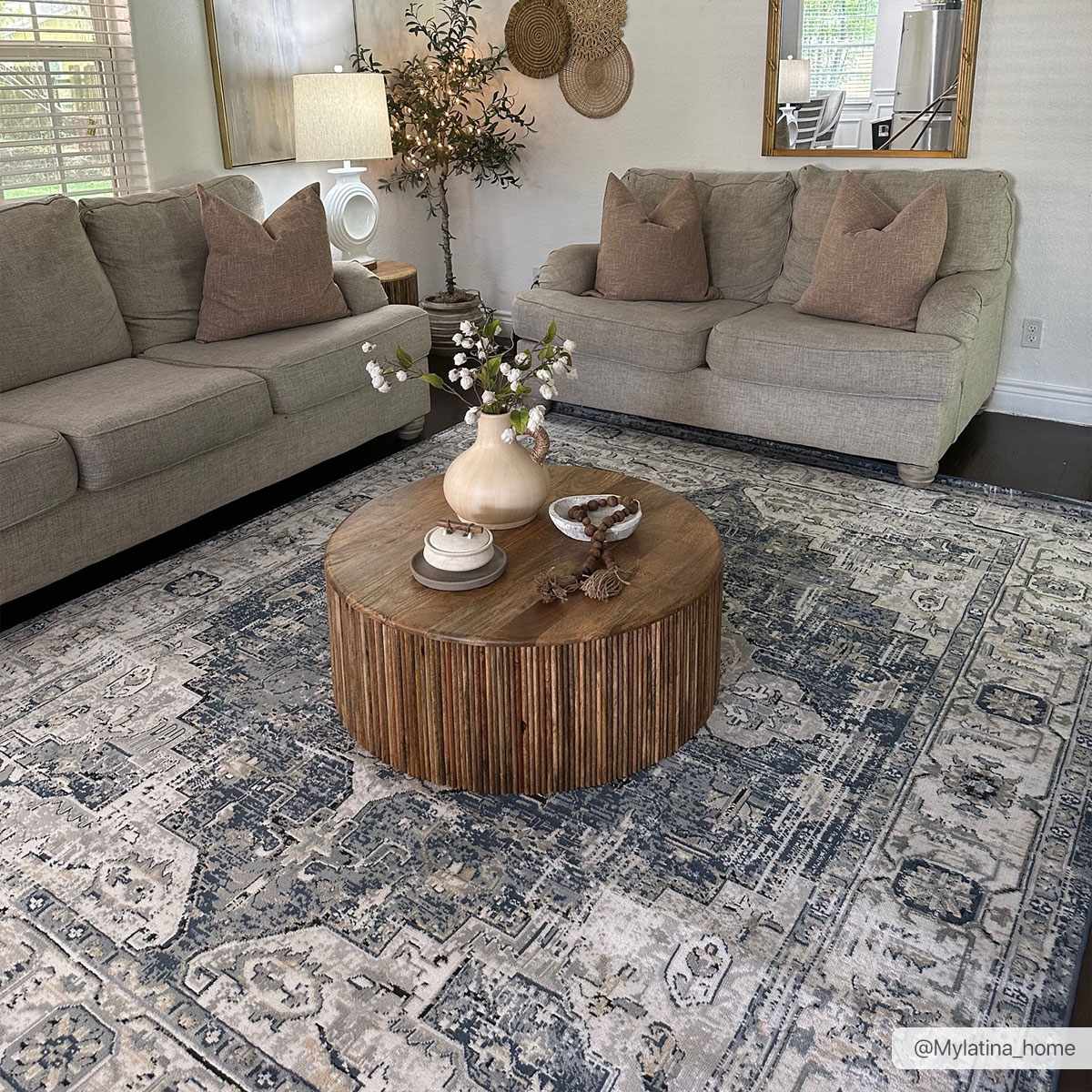 Luxurious Hauteloom Telina Area Rug