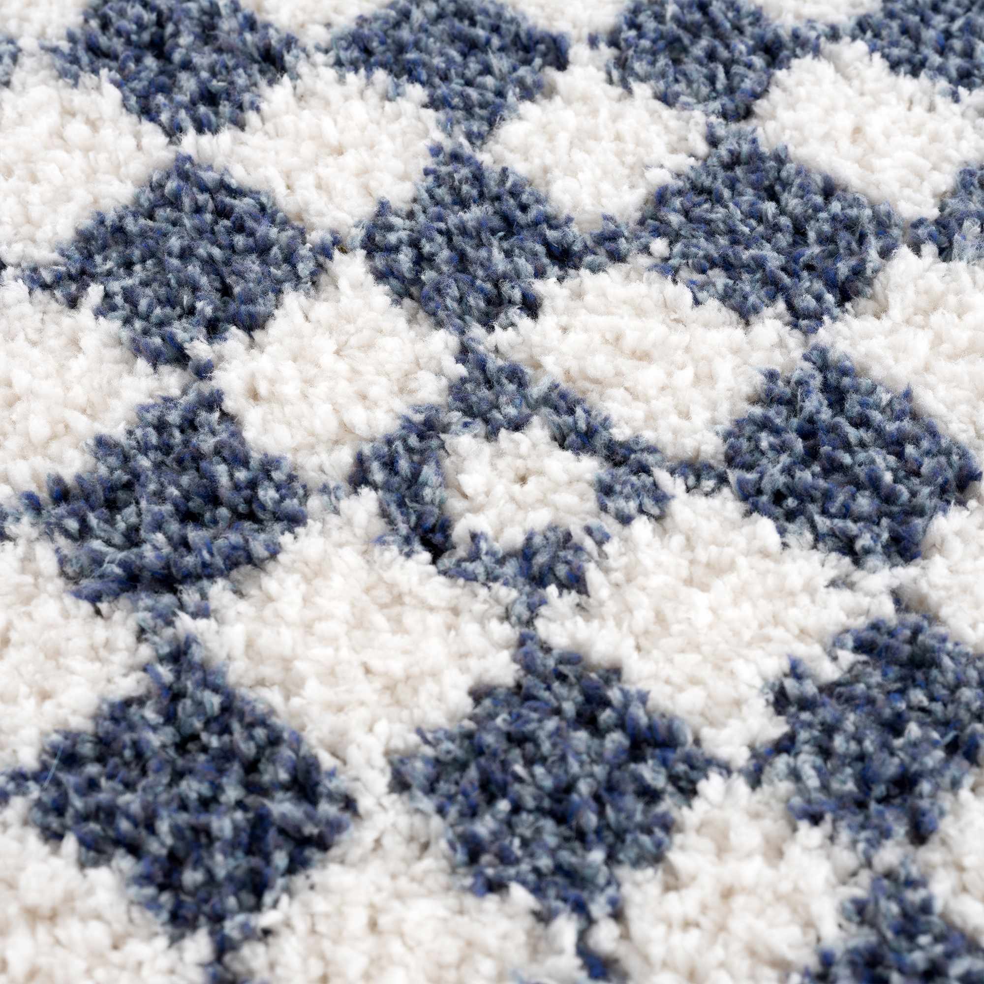 Exquisite Kieu Blue & White Checkered Area Rug