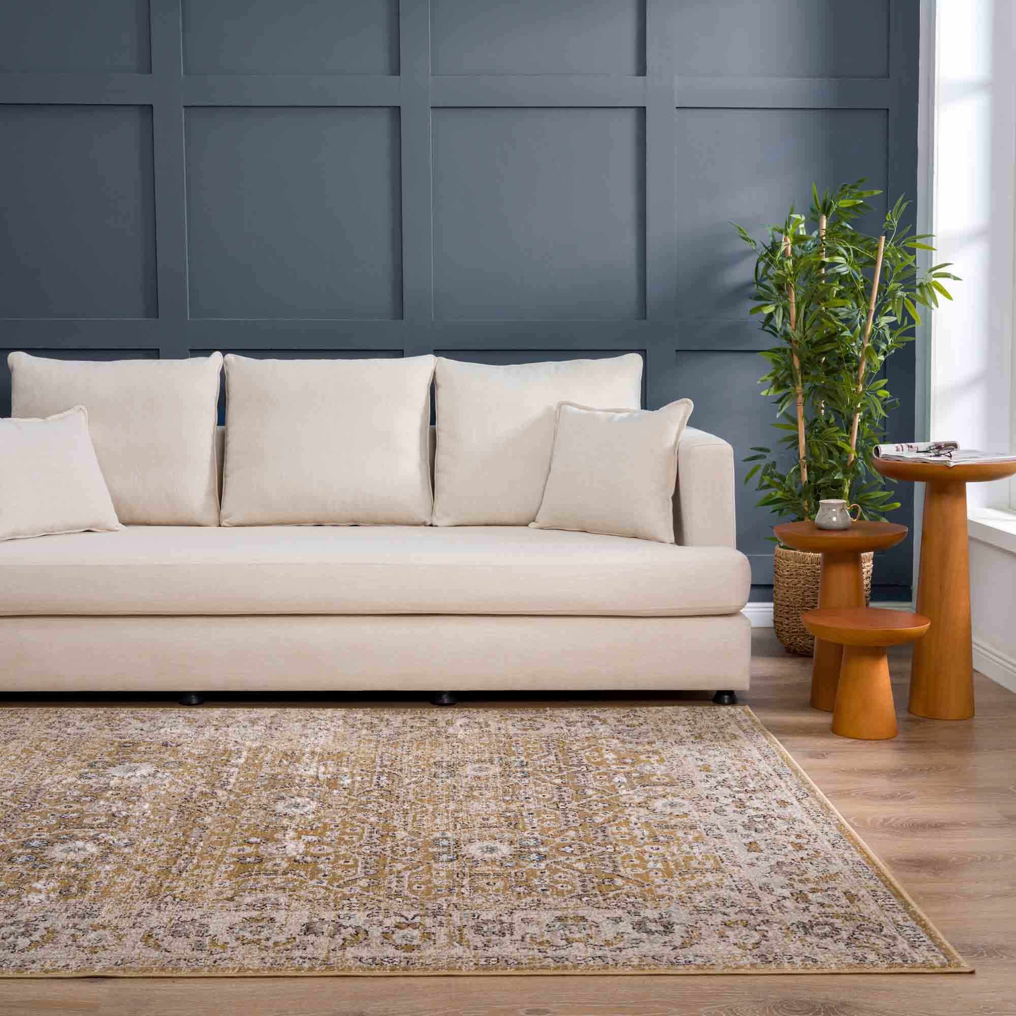 Hauteloom Anana Gold & Beige Area Rug - Grab This Clearance Deal Now!