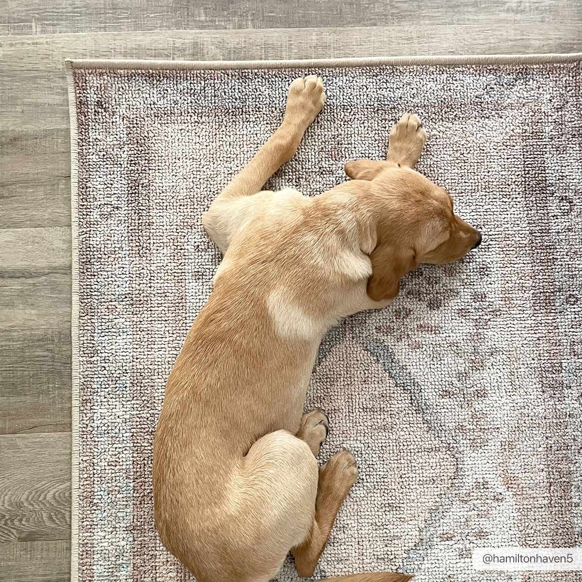 Hauteloom Analu Peach Luxury Washable Area Rug