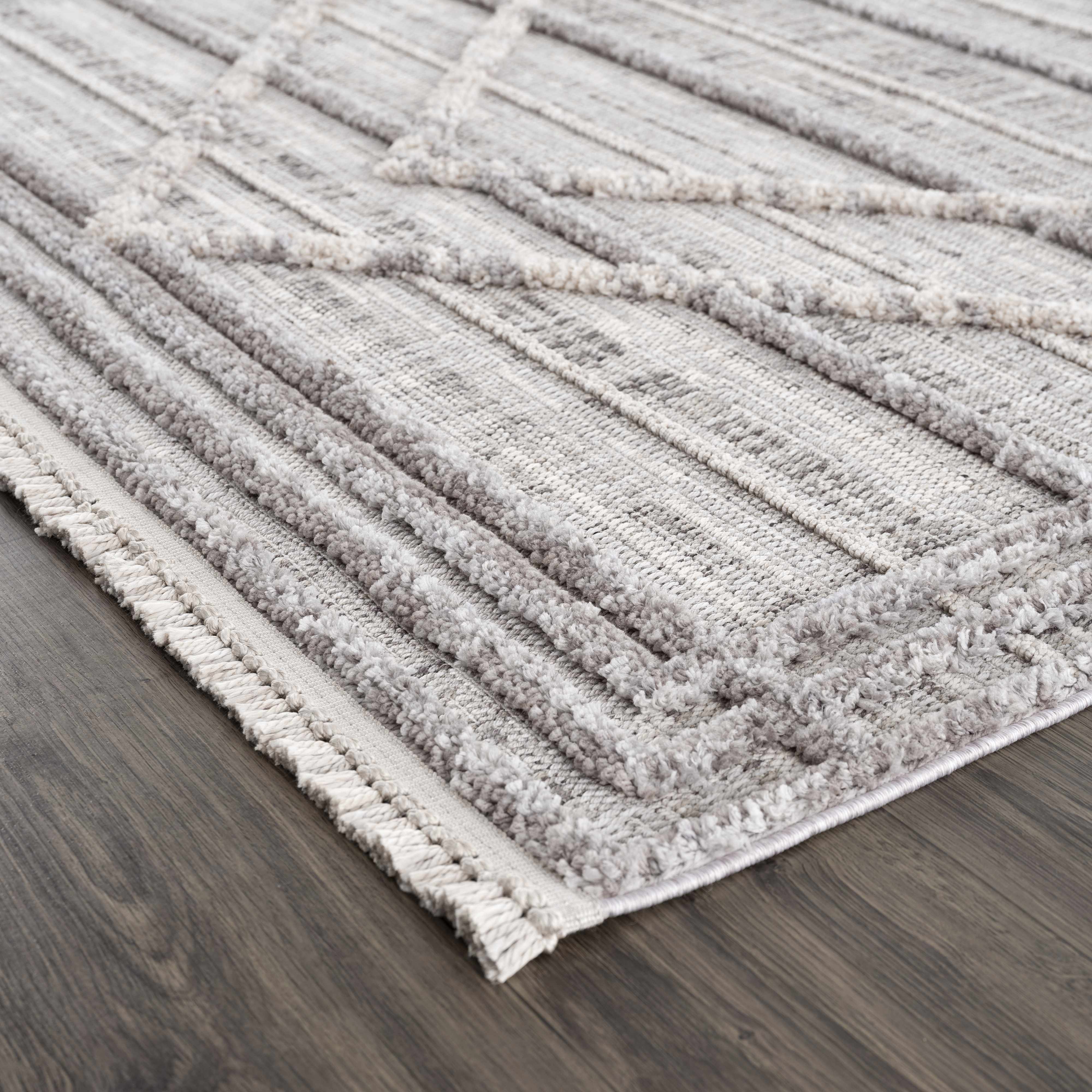 Exclusive Hauteloom Barurao Area Rug - Grab This Clearance Deal Now!