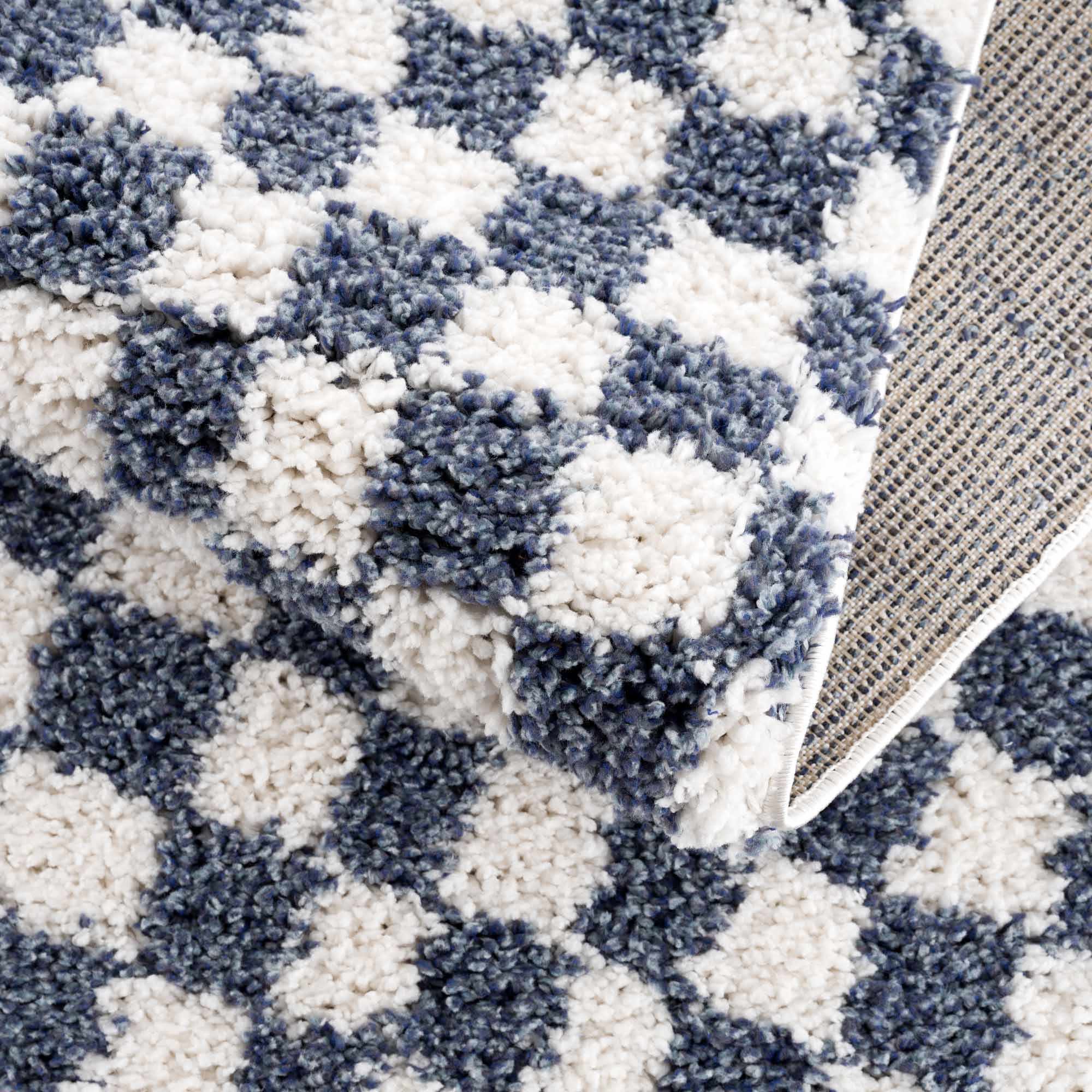 Exquisite Kieu Blue & White Checkered Area Rug