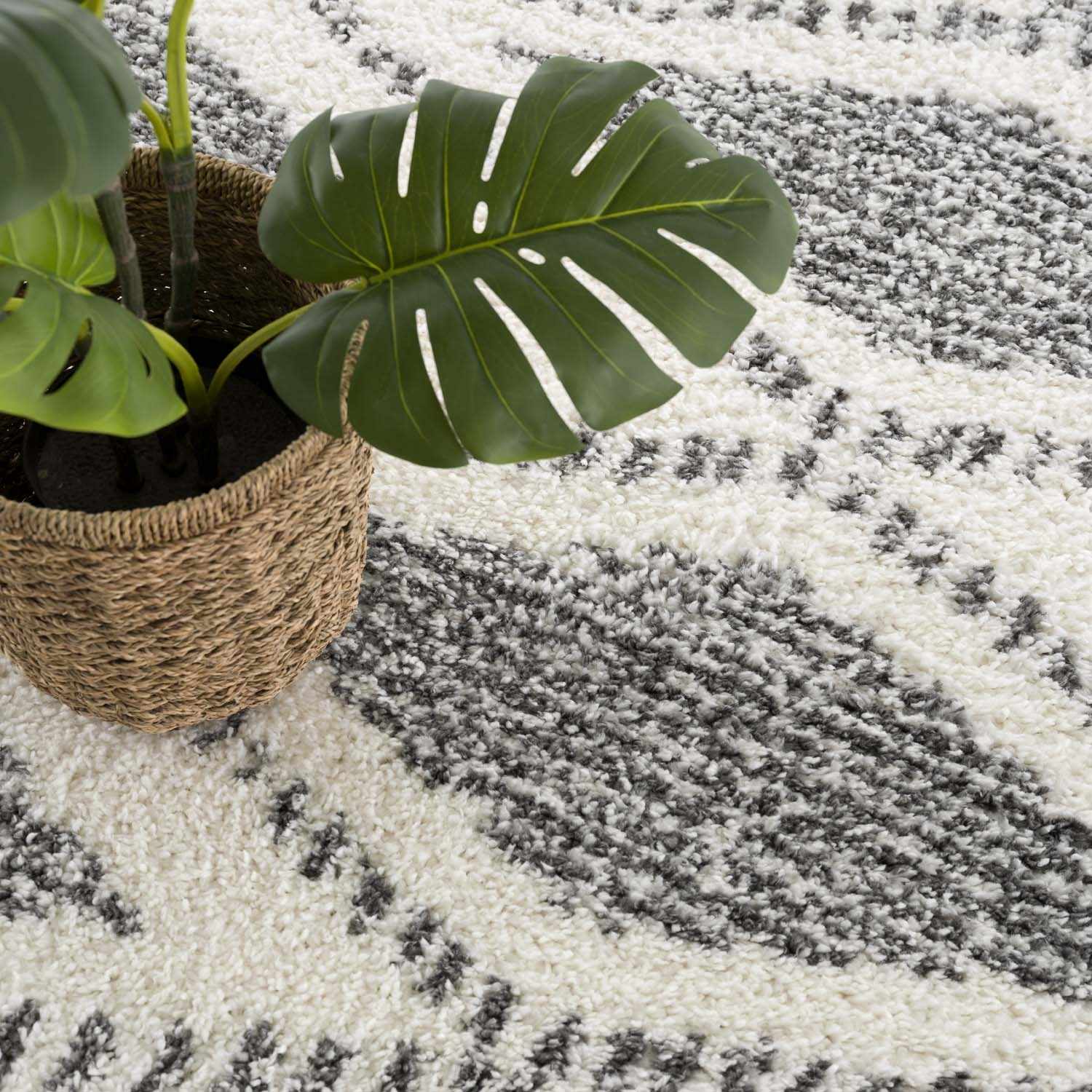 Hauteloom Trunding Ultra-Soft Plush Area Rug