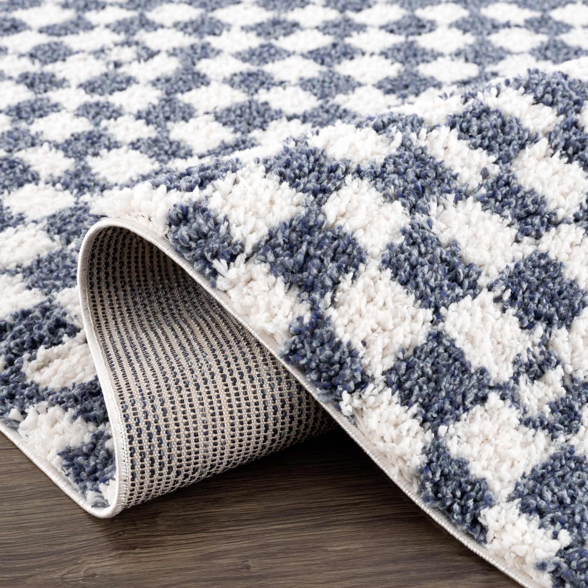 Exquisite Kieu Blue & White Checkered Area Rug