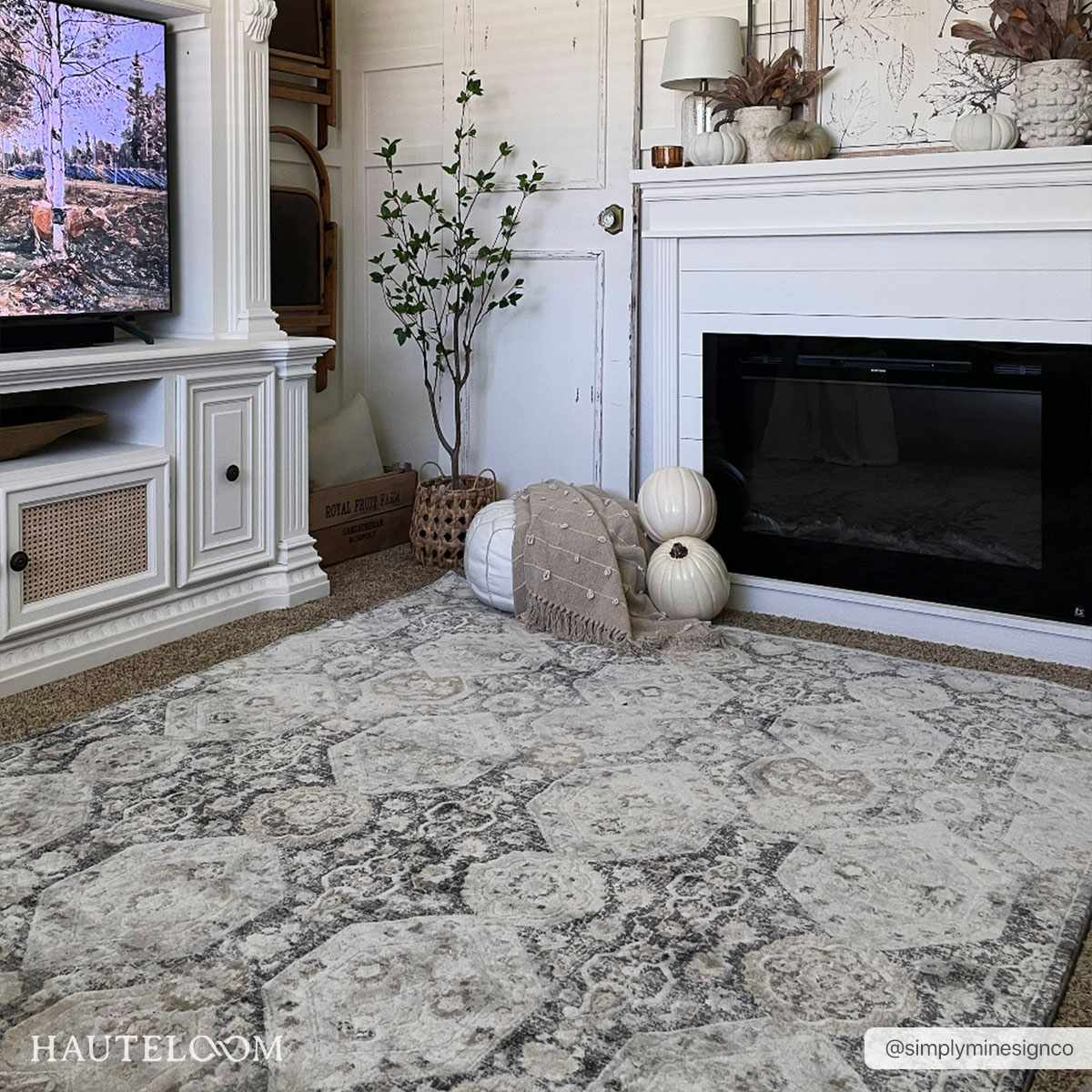 Stunning Hauteloom Minoa Area Rug