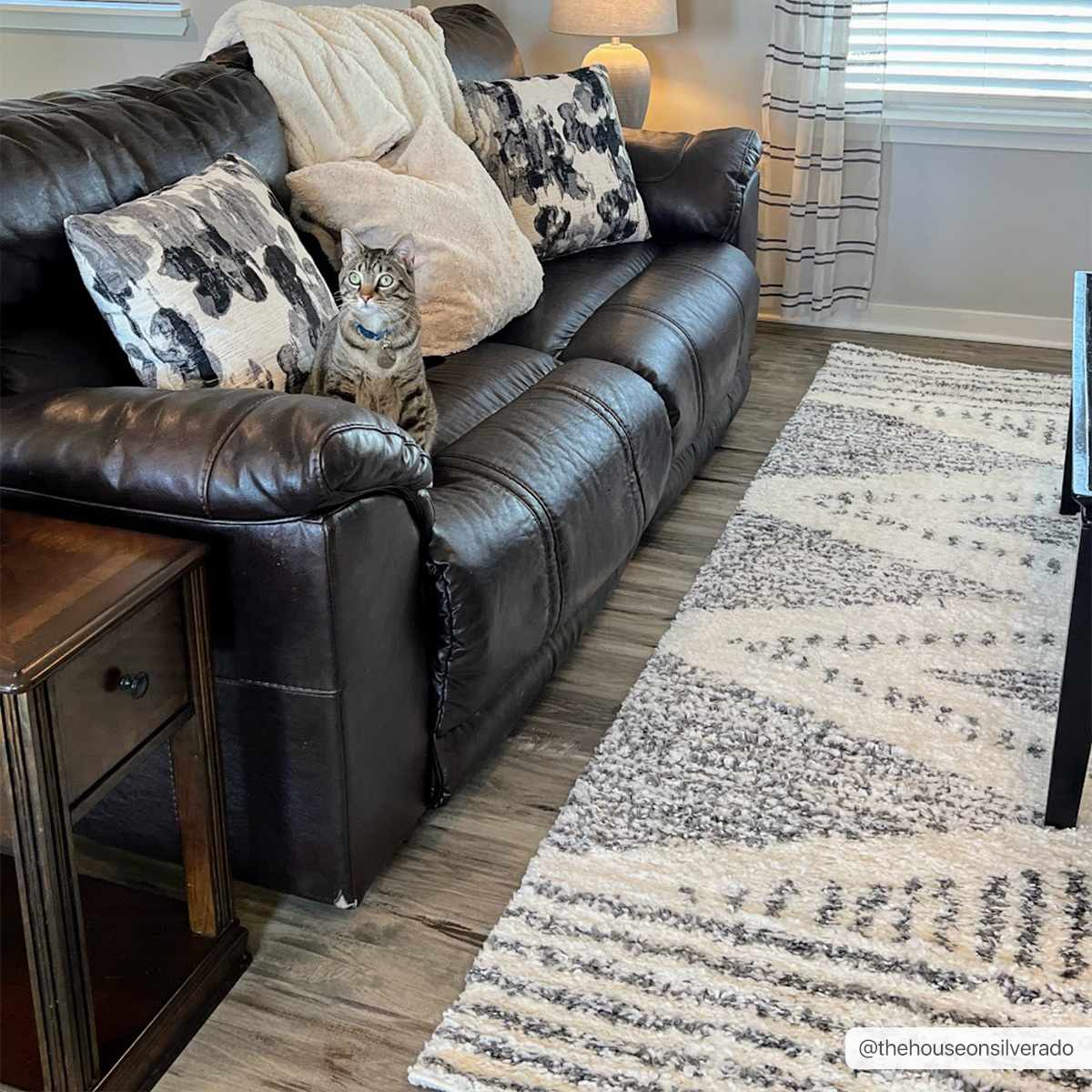 Hauteloom Trunding Ultra-Soft Plush Area Rug