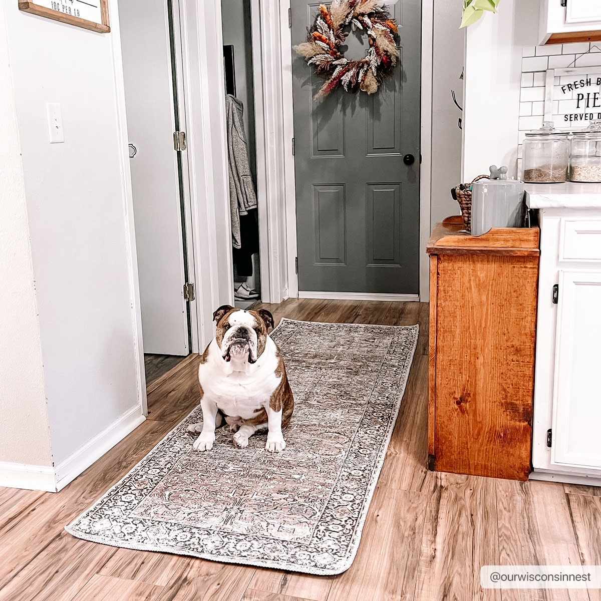 Hauteloom Jill Vintage Washable Area Rug - Your Cozy Home Essential