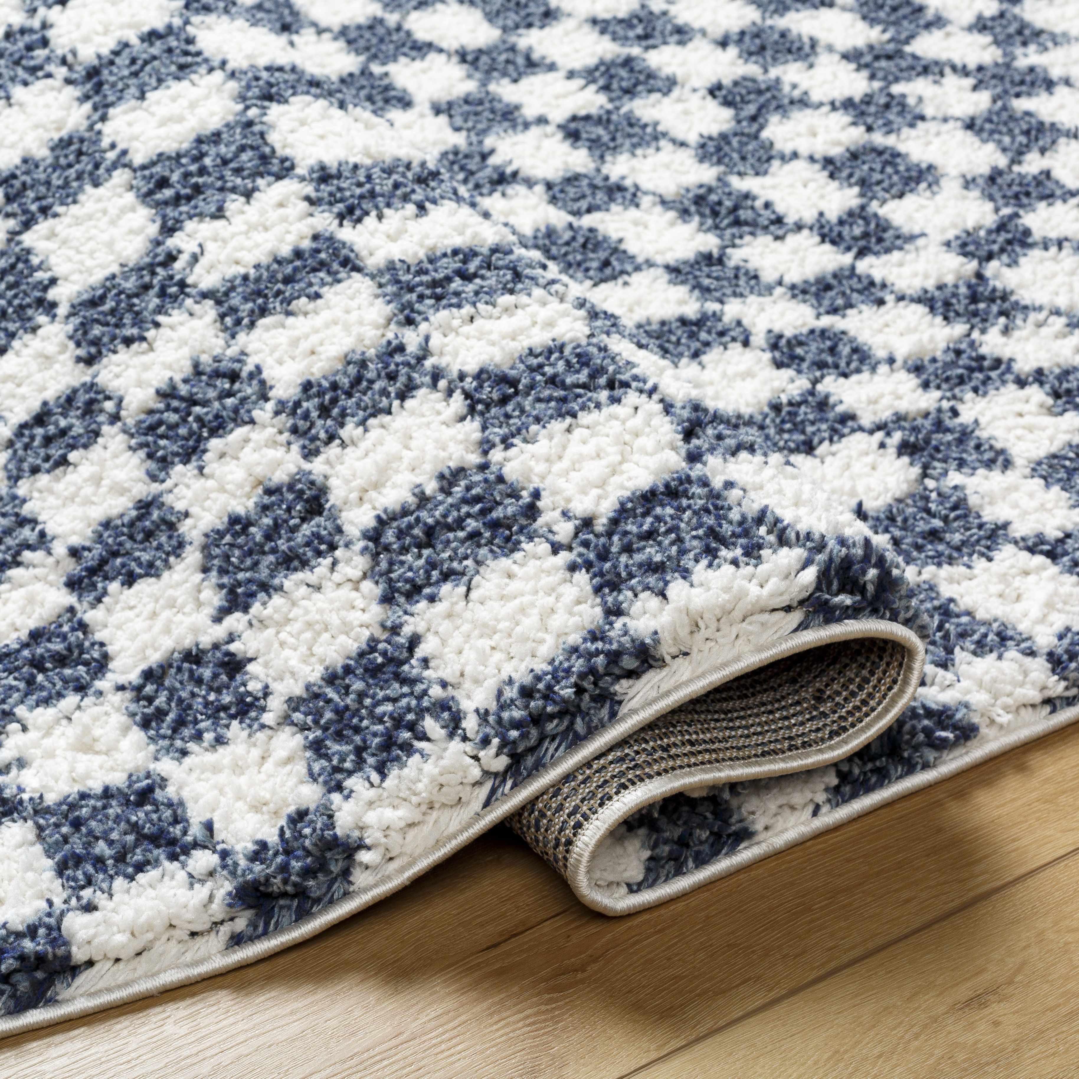 Exquisite Kieu Blue & White Checkered Area Rug