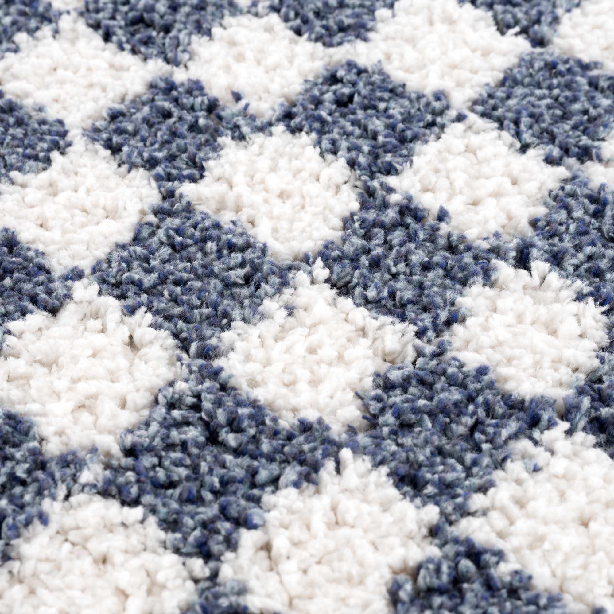 Exquisite Kieu Blue & White Checkered Area Rug