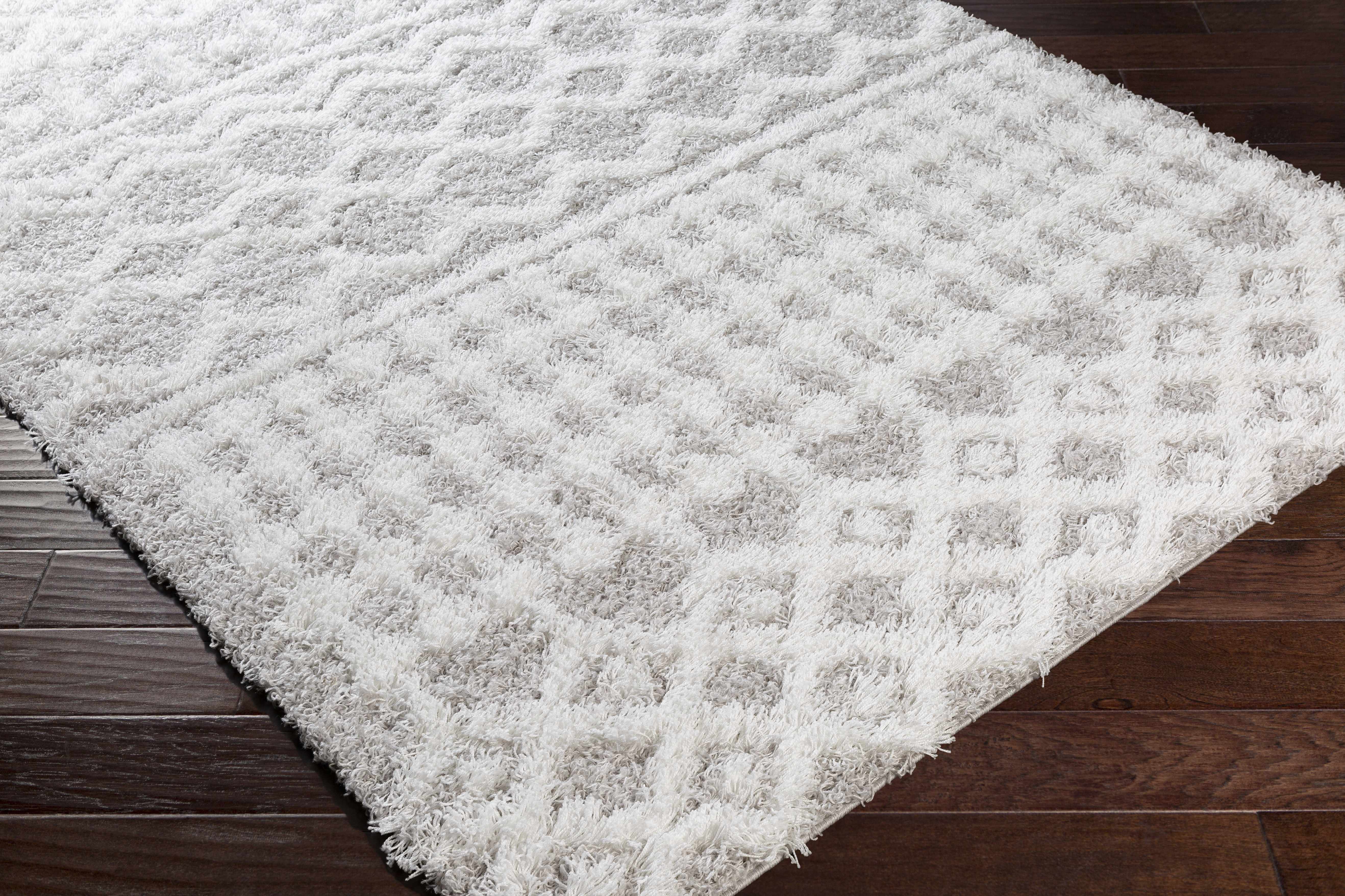 Exquisite Hauteloom Vernonburg Shag Area Rug