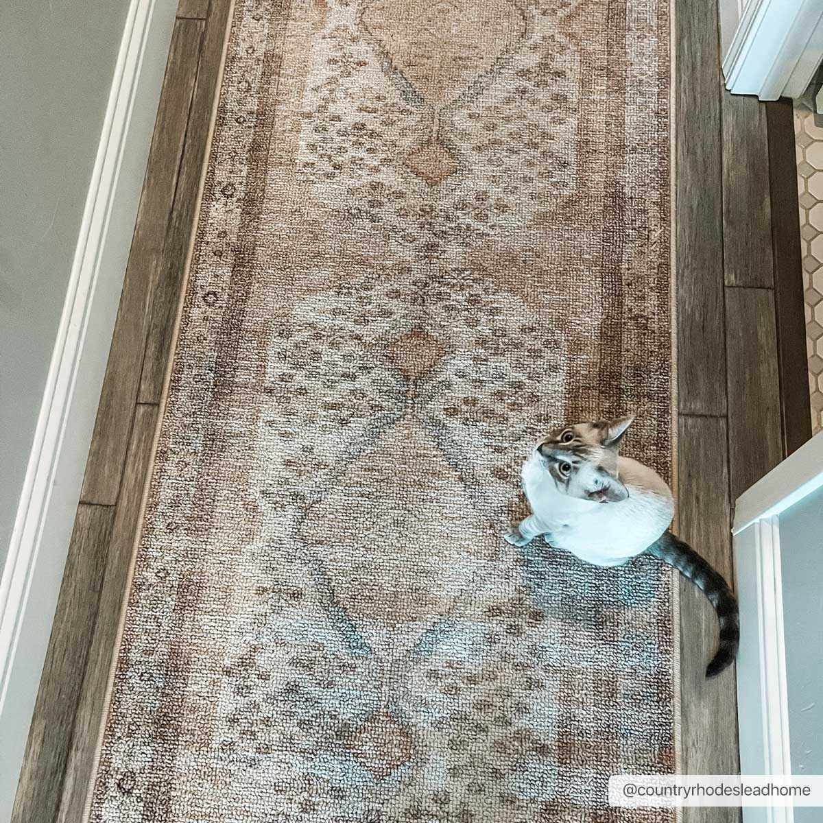 Hauteloom Analu Peach Luxury Washable Area Rug