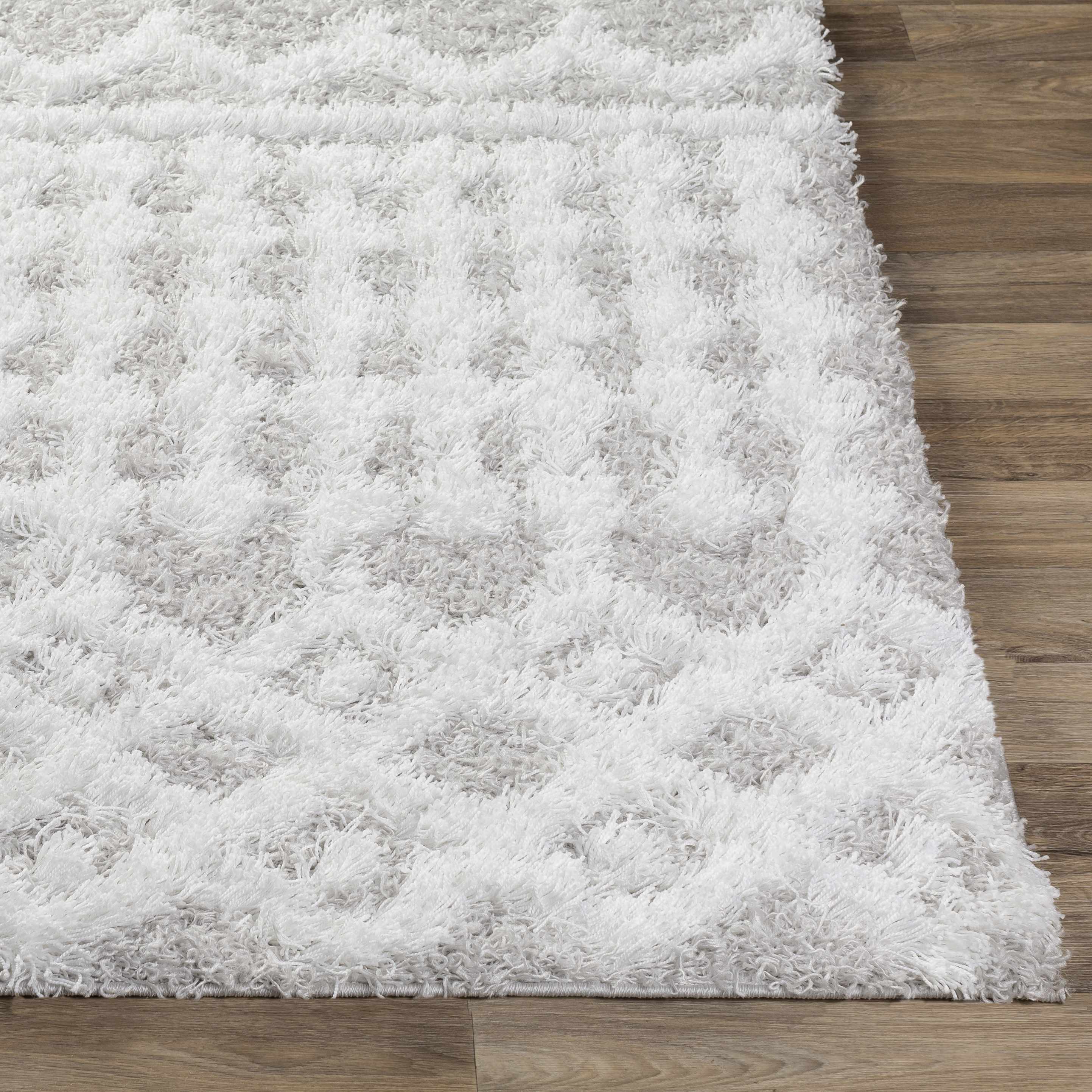 Exquisite Hauteloom Vernonburg Shag Area Rug