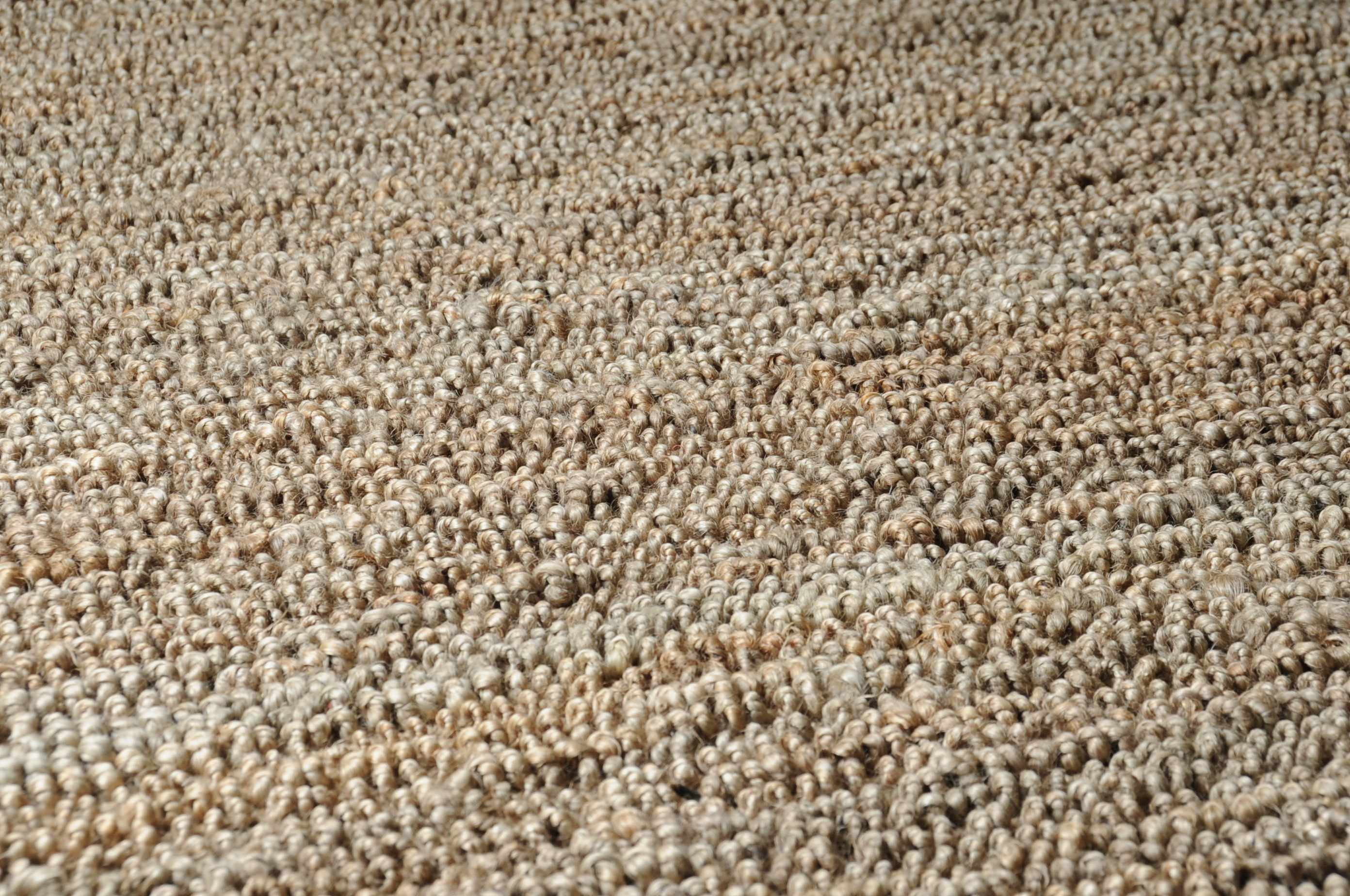 Hauteloom Glover Natural Braided Jute Rug - A Touch of Timeless Elegance
