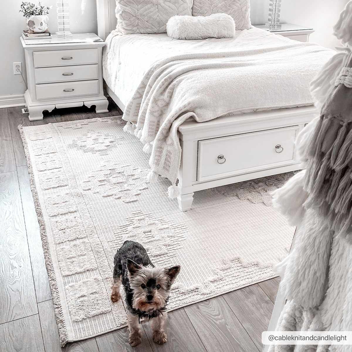 Luxurious Hauteloom Rosales Cream Area Rug for Every Space