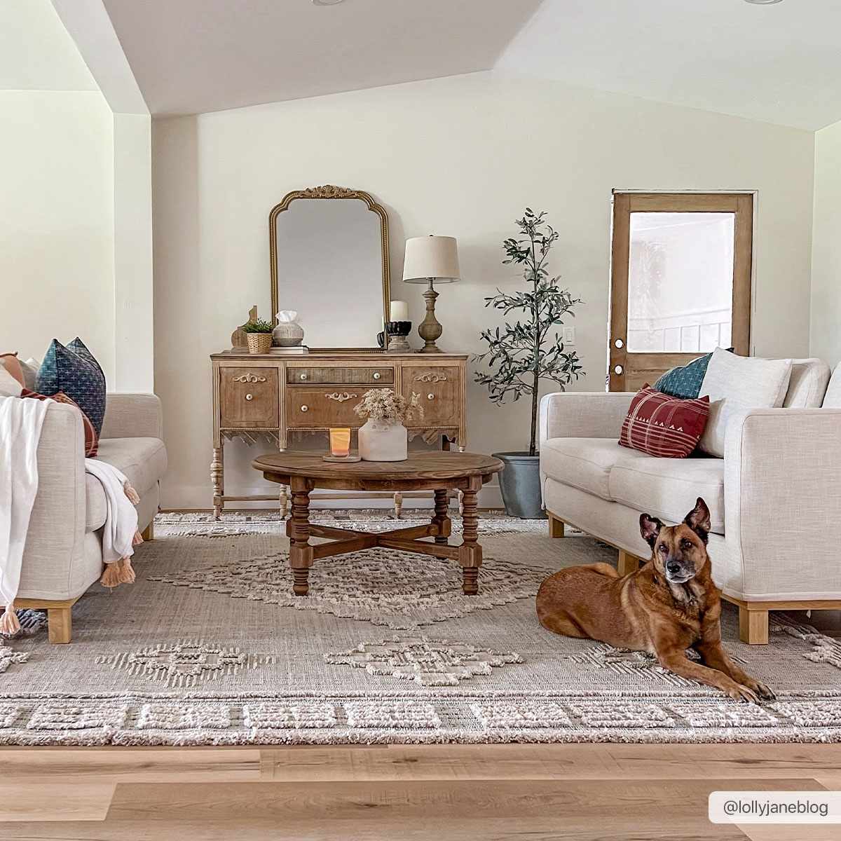 Hauteloom Ampusungan Area Rug - Transform Your Space with Style