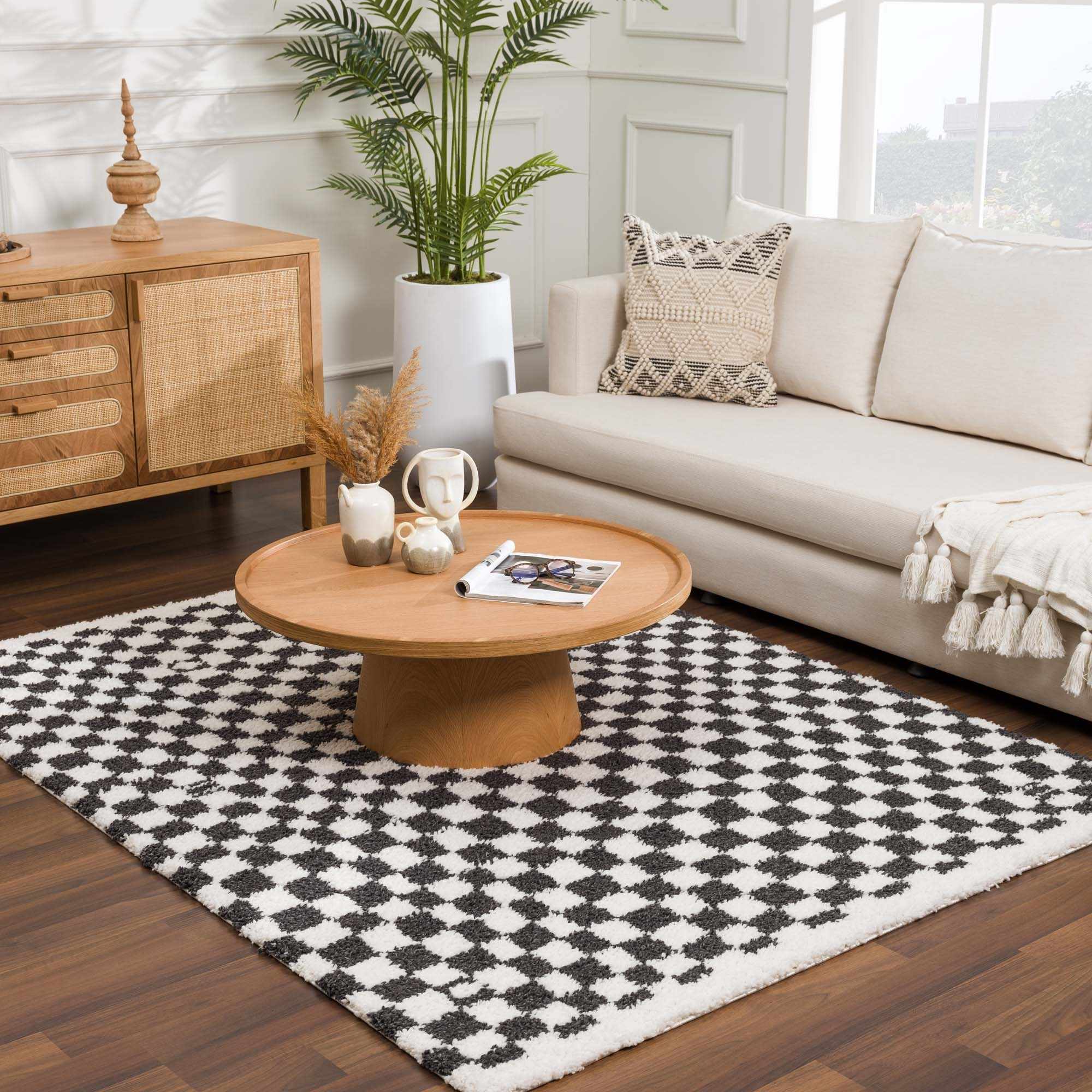 Stunning Hauteloom Kieu Black & White Checkered Area Rug
